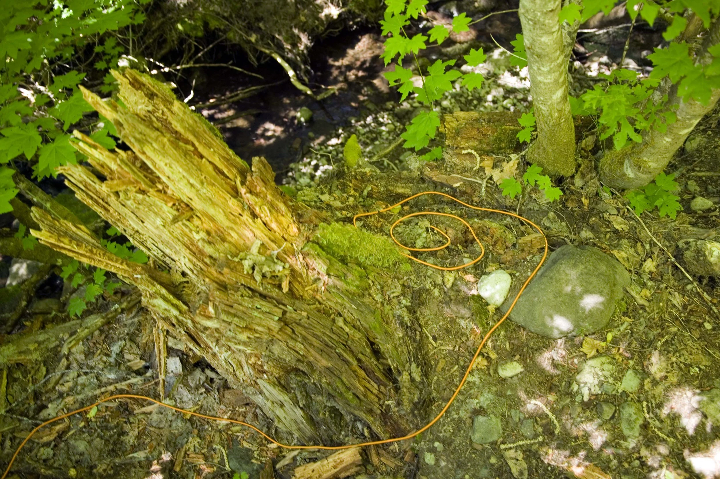 Ropes Oregon Trunk & Spiral