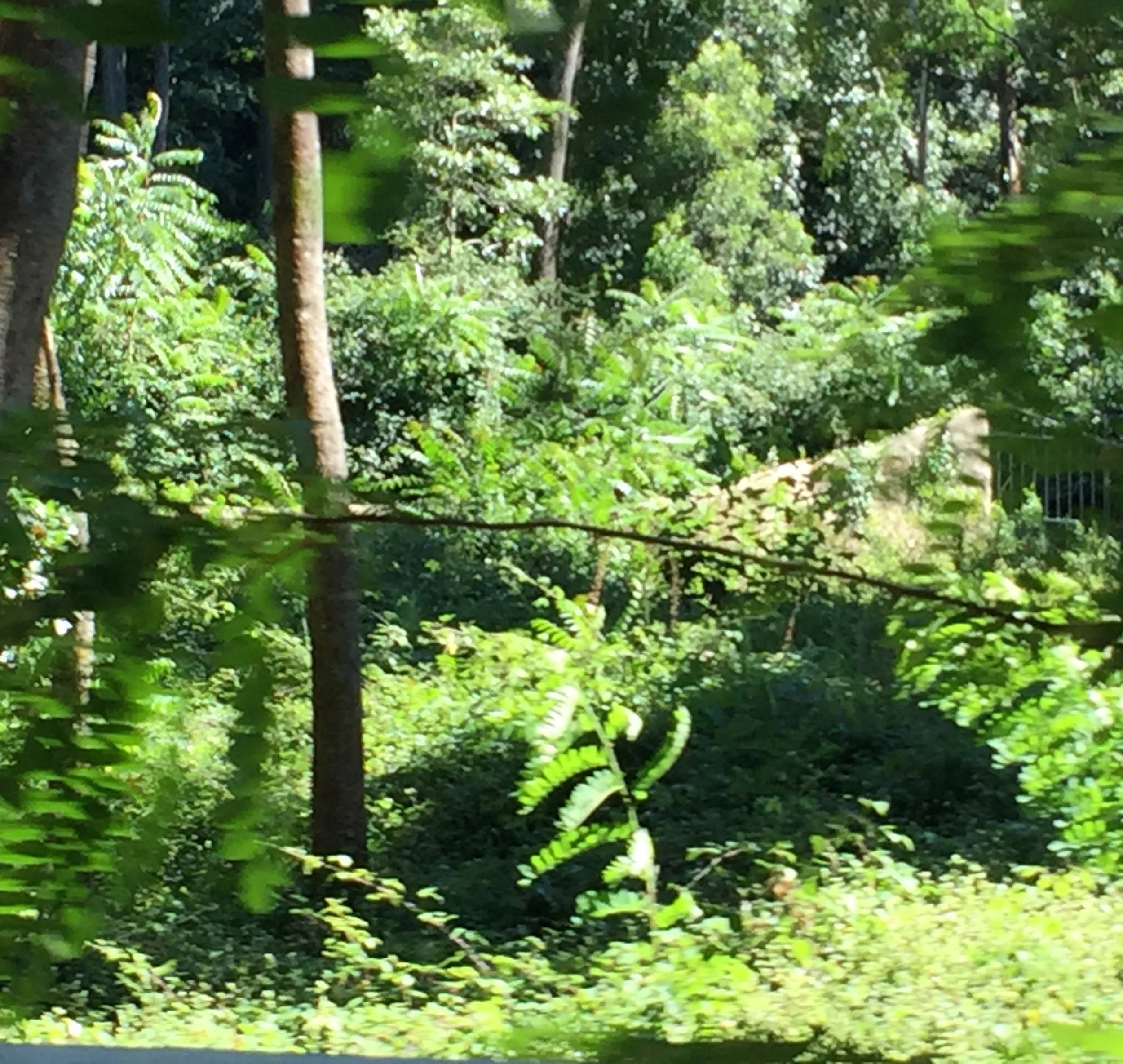 Simulated Reflection