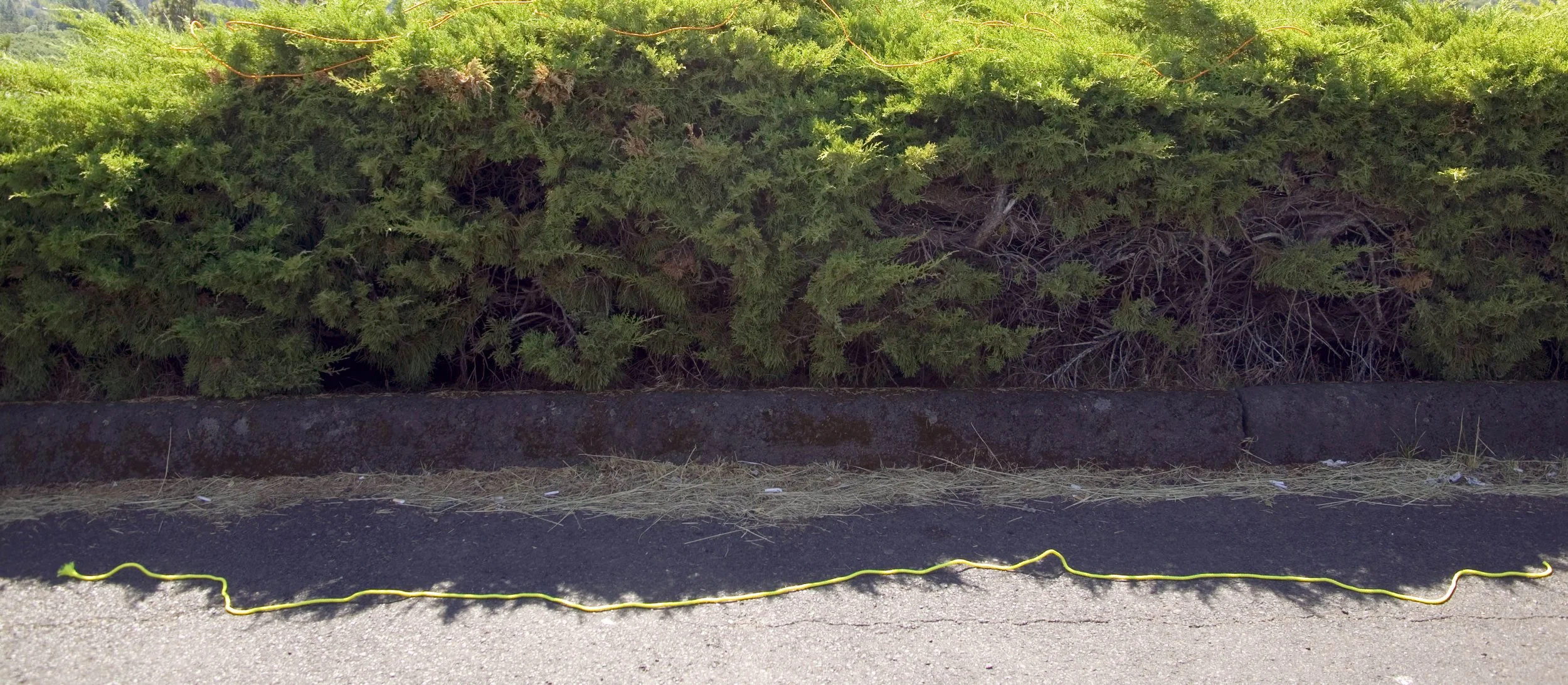 Ropes Oregon Shadow Lines