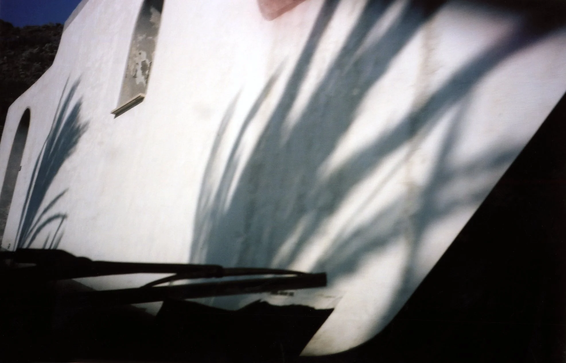 The Life Of Trees 11