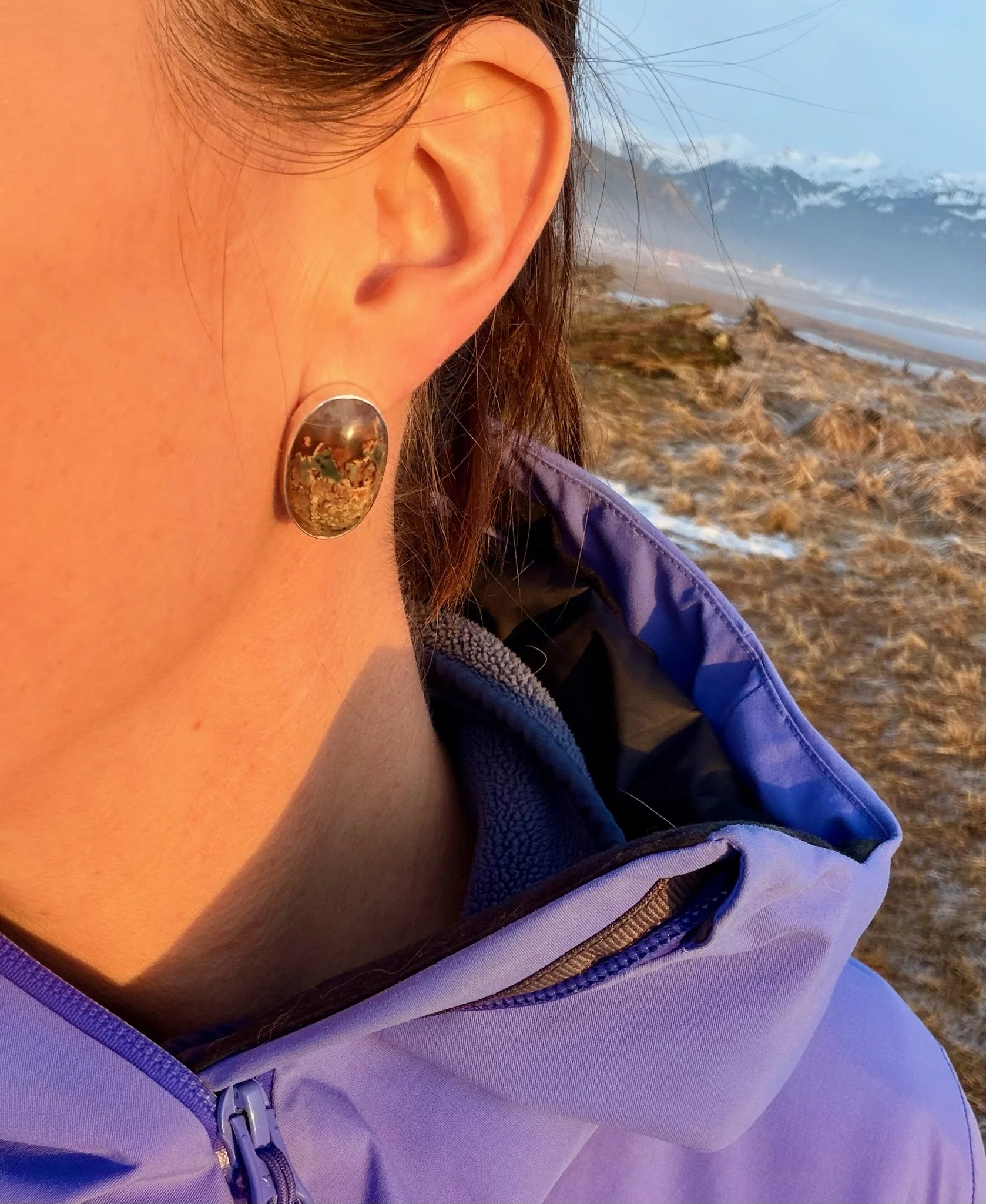 Prudent Man Plume Agate from Idaho Stud Earrings