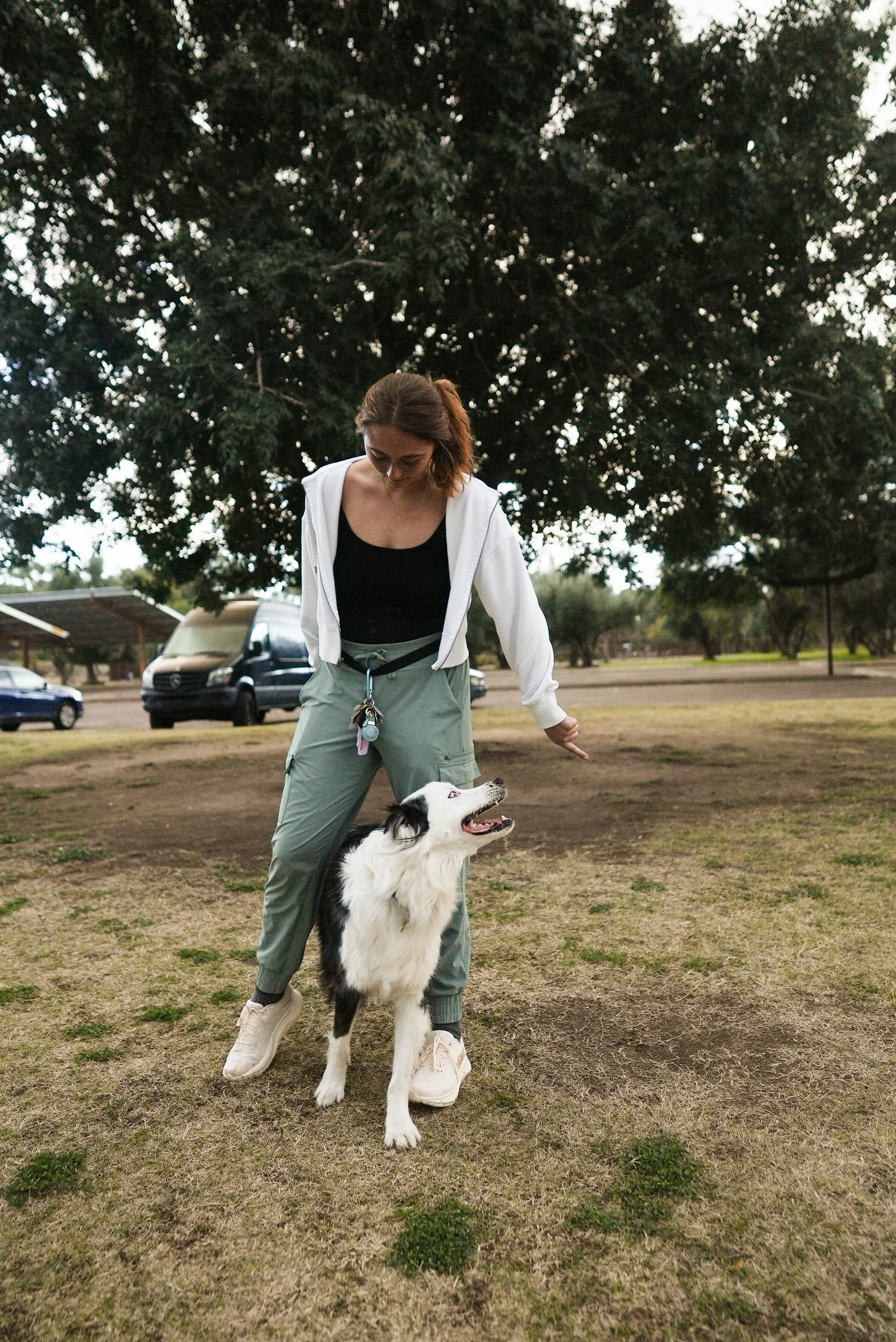 A woman with brown hair and a black top, wearing gray pants and white sneakers, teaching a black and white Border Collie dog to sit in a park with large trees and parked cars in the background.