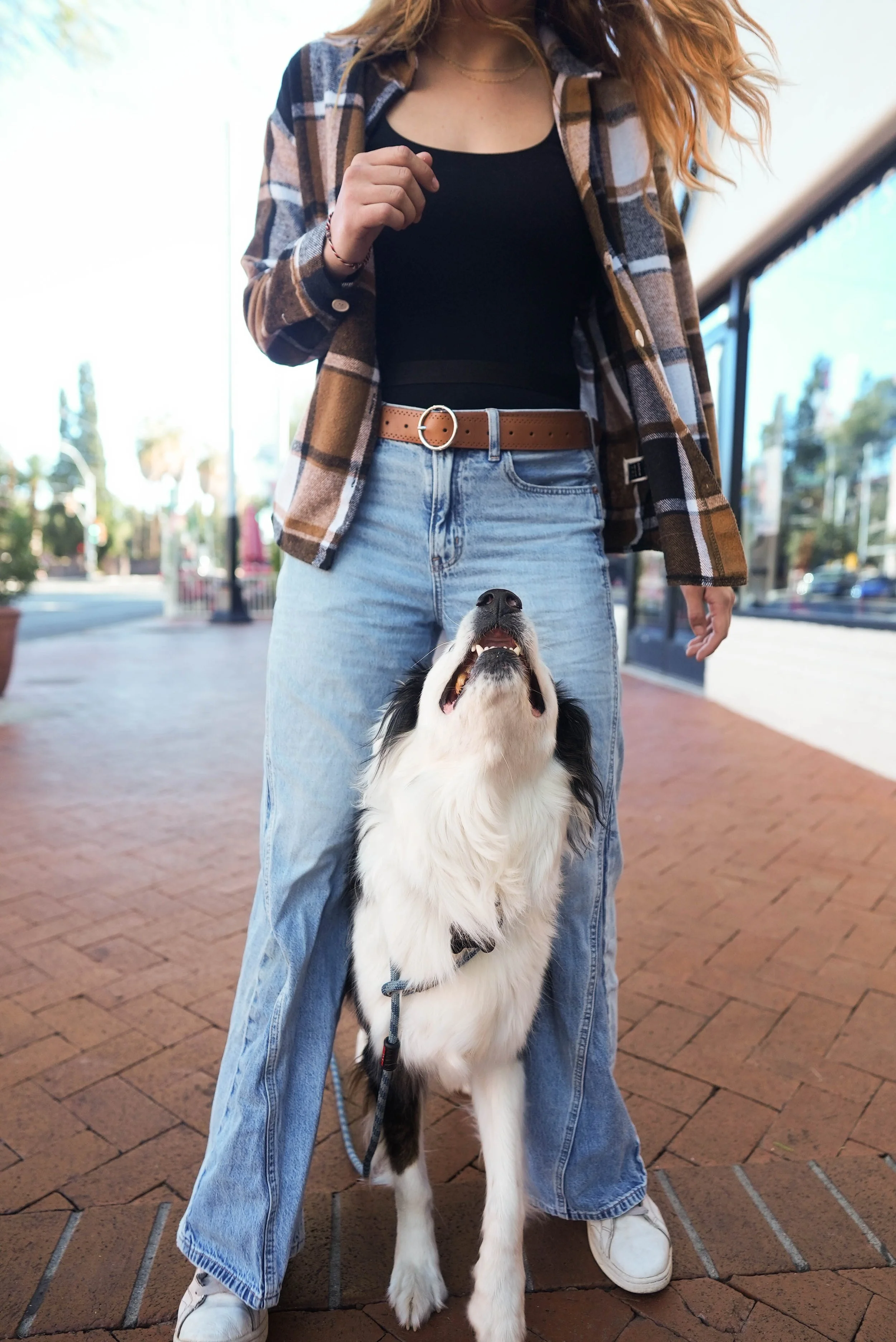 A woman with red hair standing outdoors on a brick sidewalk, wearing a plaid shirt, black top, and jeans, with a black and white Border Collie dog sitting on its hind legs in front of her, looking up.