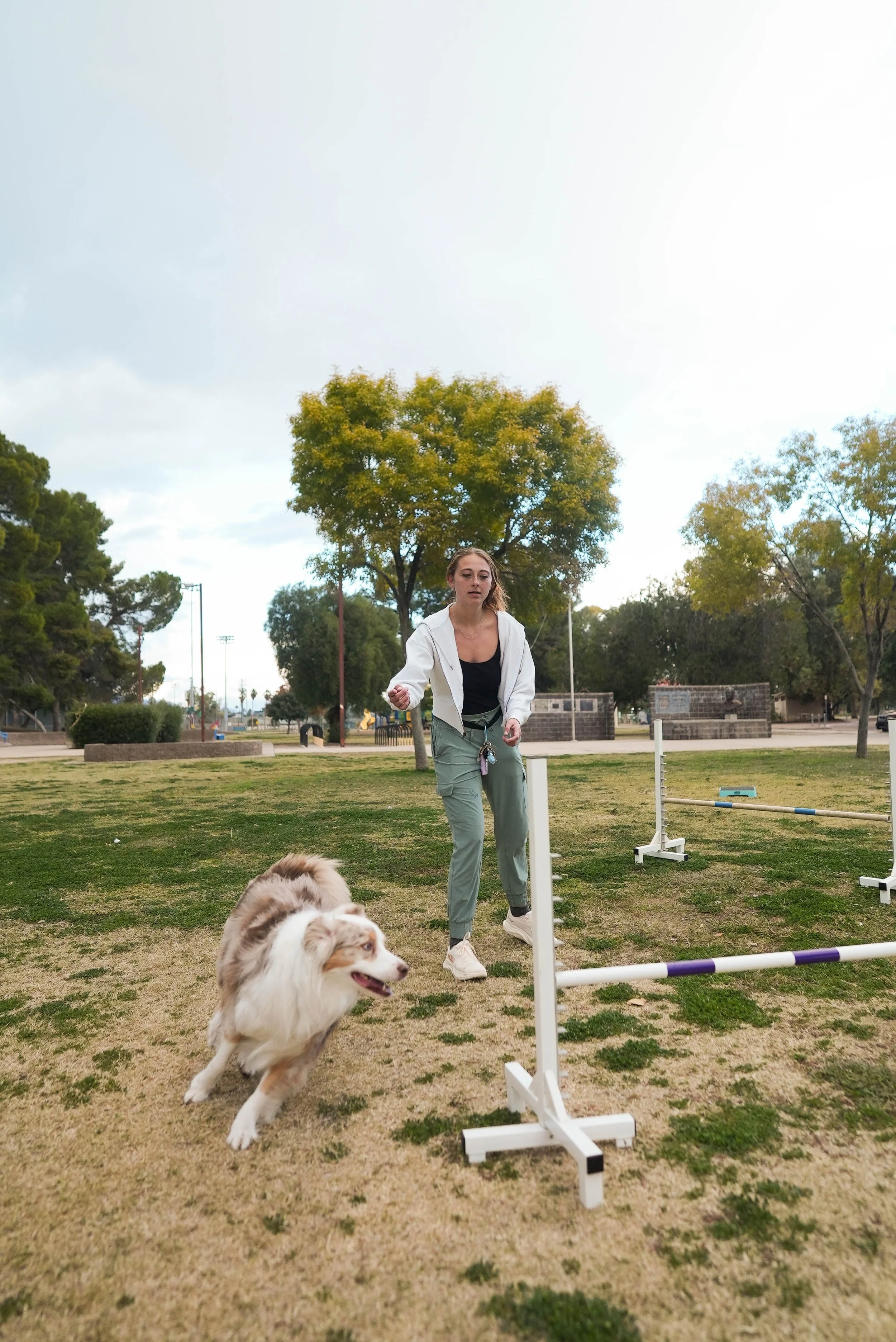 A woman and her Australian Shepherd dog participating in an outdoor agility training course in a park with trees and open fields.