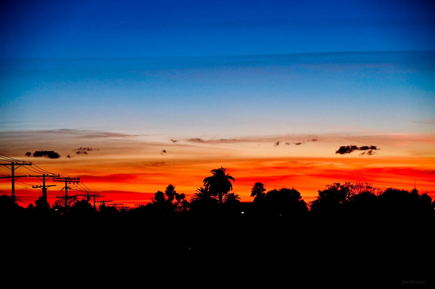 Anthony Citrano photograph of sunset sky in Venice, Los Angeles. Orange, red, and blue hues, silhouetted trees and power lines in the foreground.