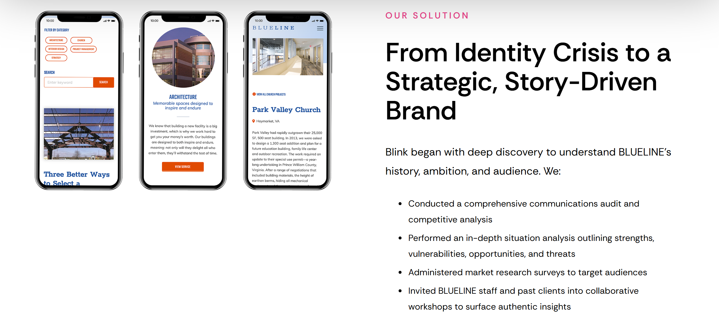 Blink Blueline Case Study 5.png