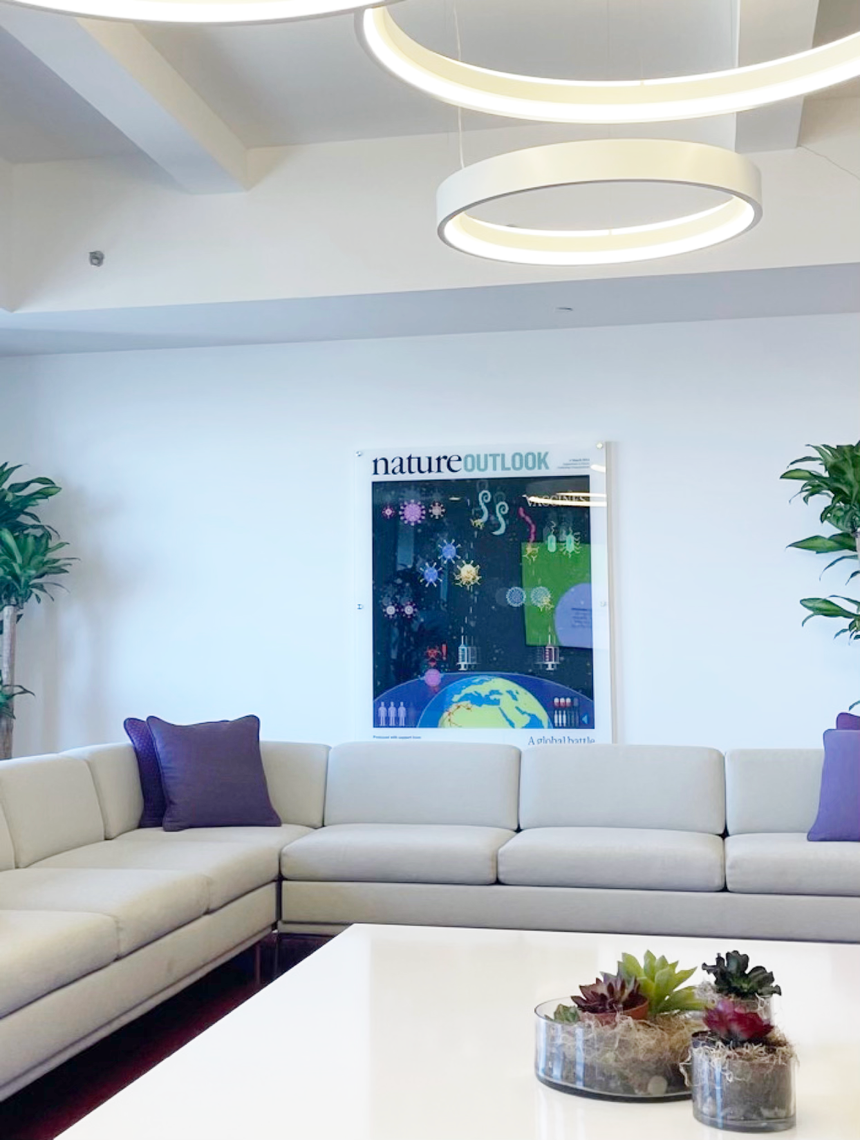 Modern office lobby with white sectional sofa, purple pillows, potted plants, and a Nature Outlook poster on the wall. Overhead lighting and a white table with small potted succulents in the foreground.