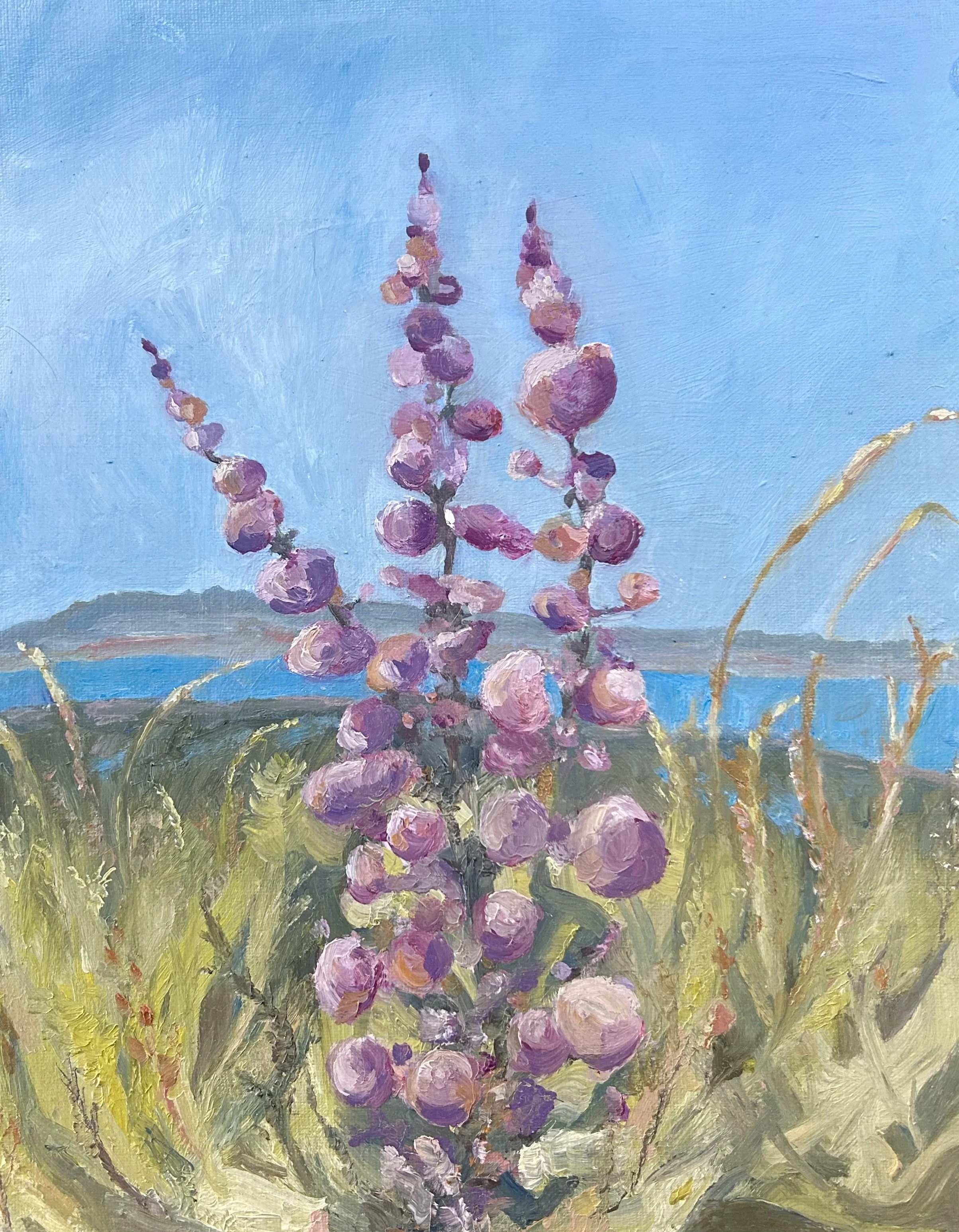 Lupine, Lubec, Maine, oil on canvas, 2025