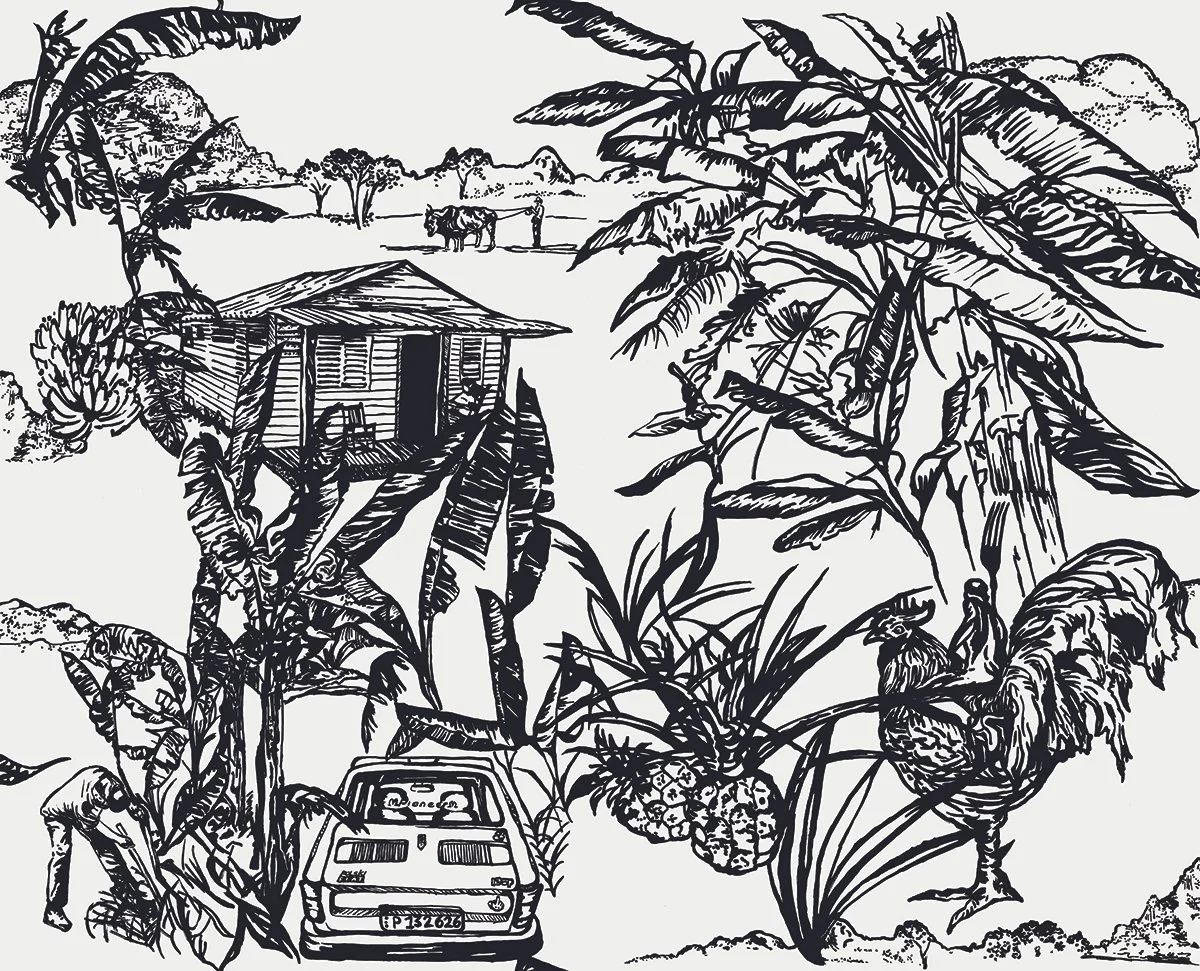 Cuba Toile Pattern, ink on paper, 2025