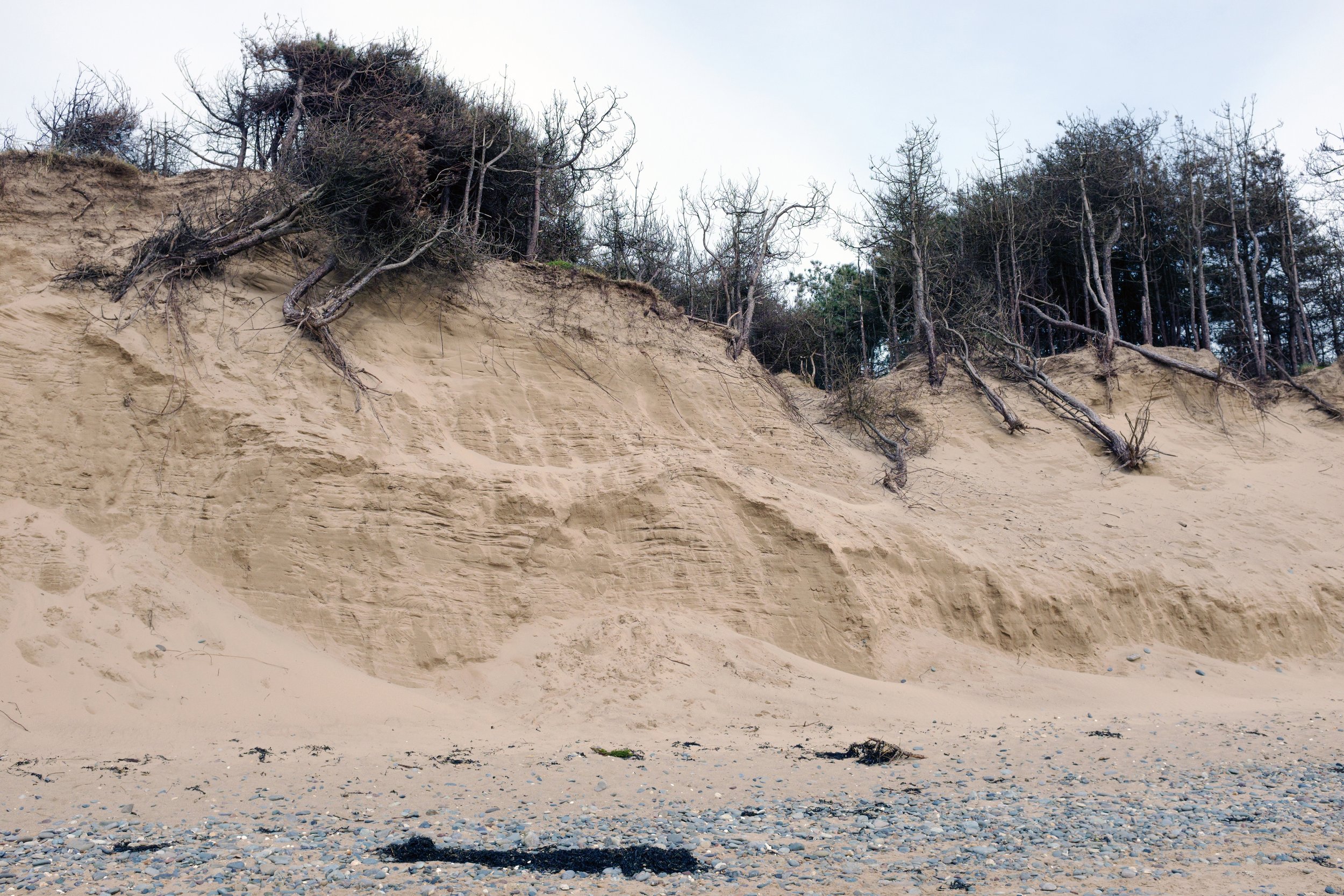 Coastal Erosion Control Costs: Floating vs. Traditional Solutions