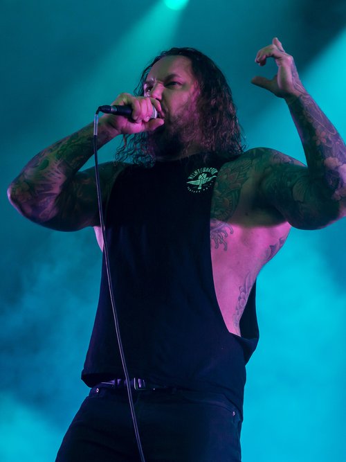 tim lambesis