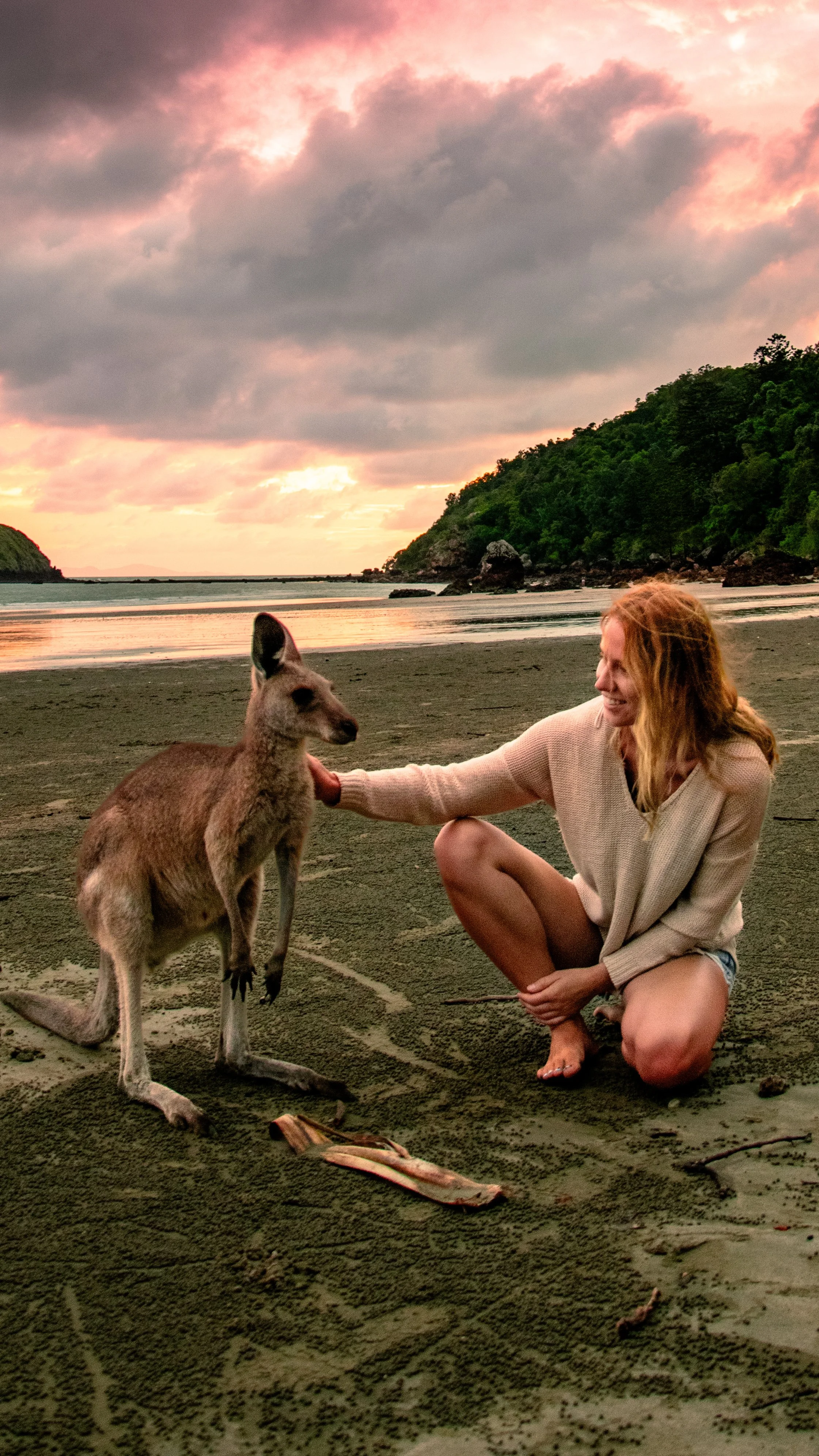 A woman kneeling on a beach, petting a kangaroo during sunset with a cloudy sky and green hills in the background.