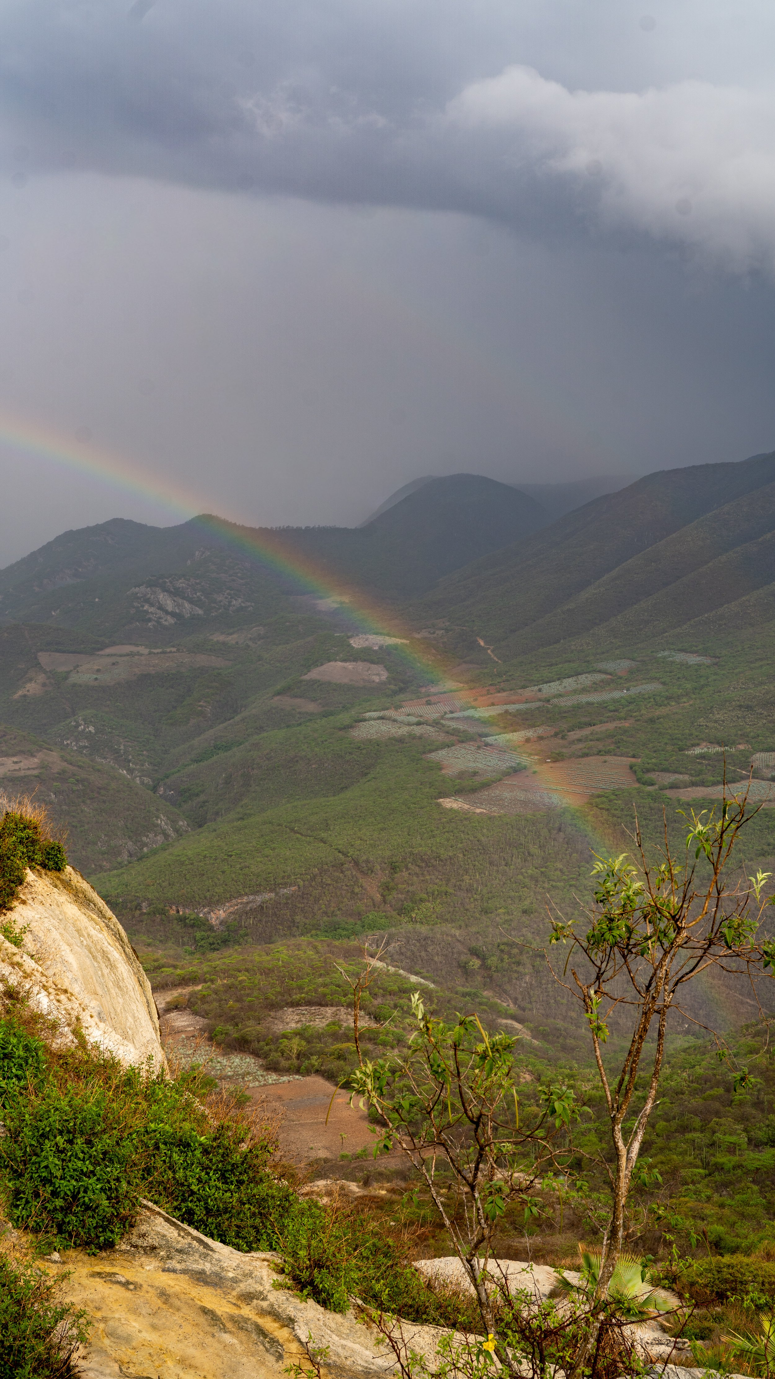natura w meksyku .JPG