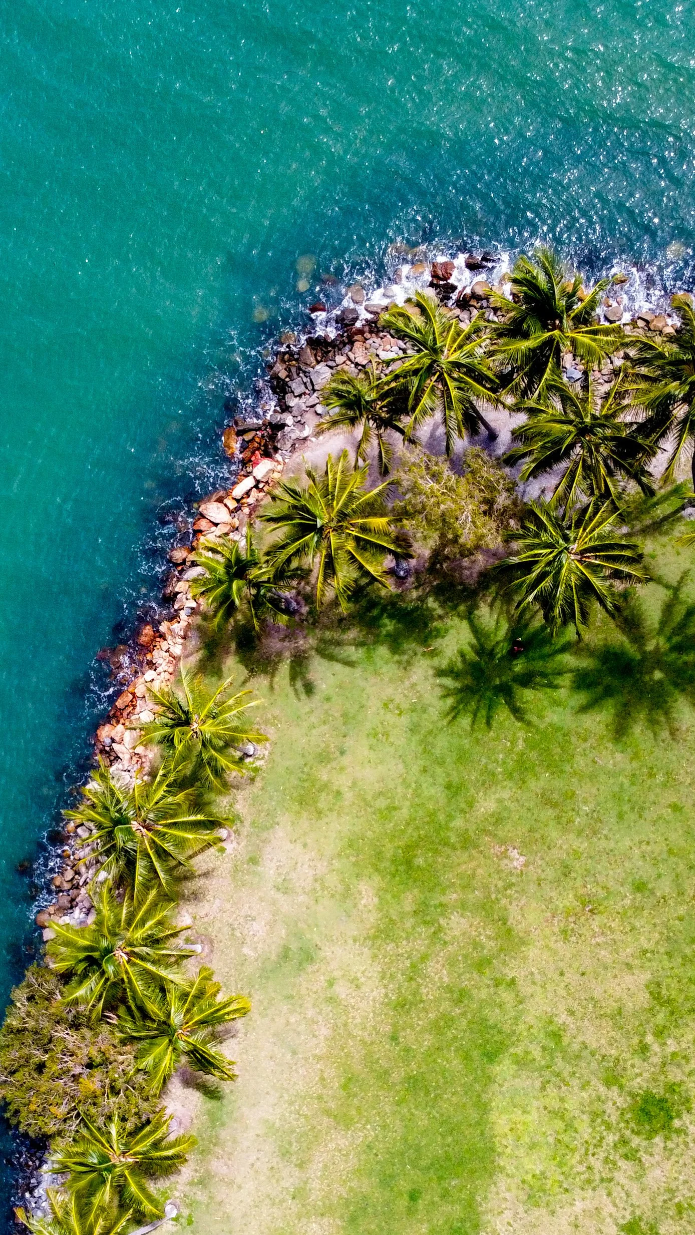Czego nie można wwozić do Australii – bioasekuracja (biosecurity) krok po kroku