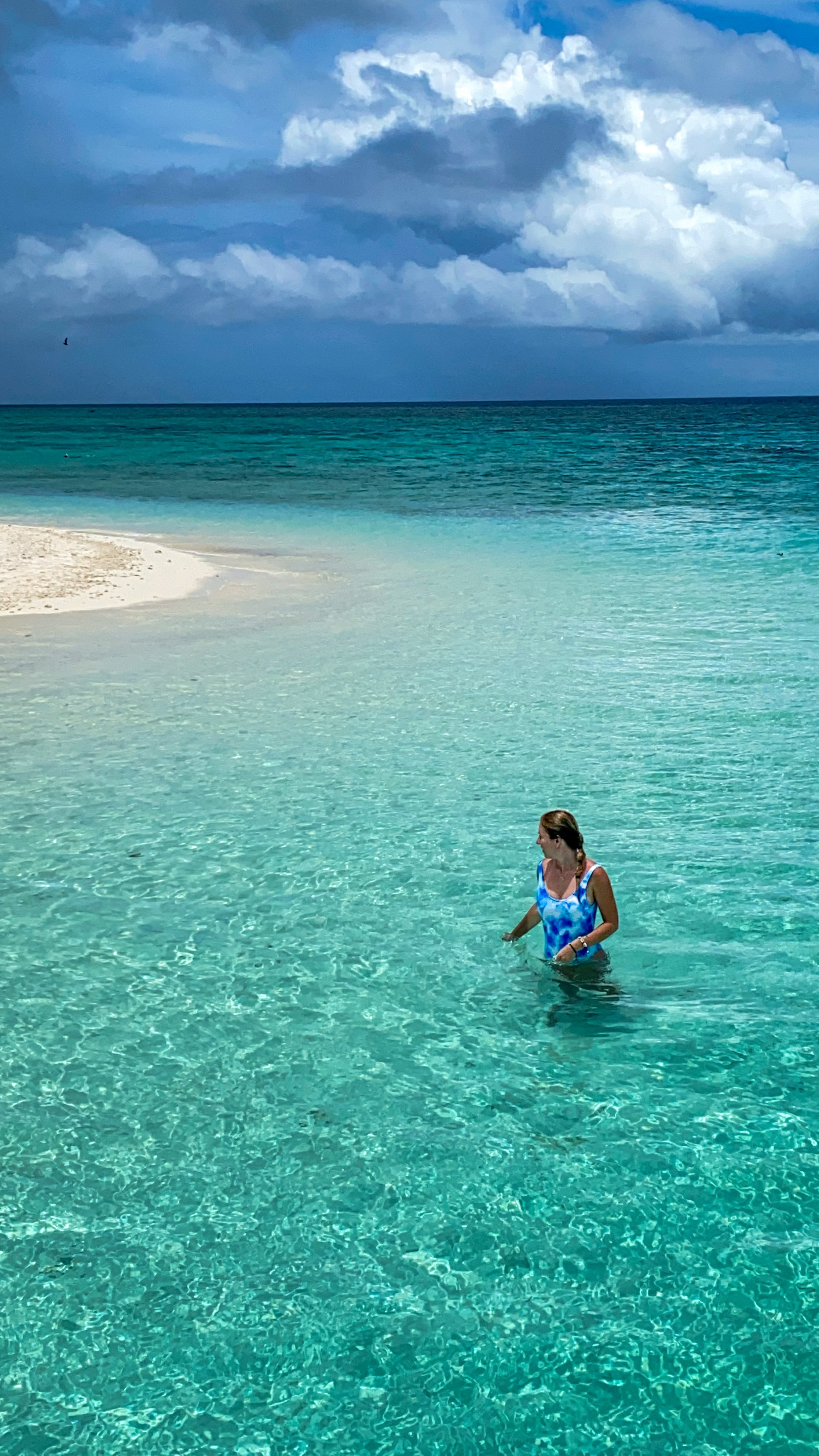 heron island wyspa tropikalna australia blog podrozniczy