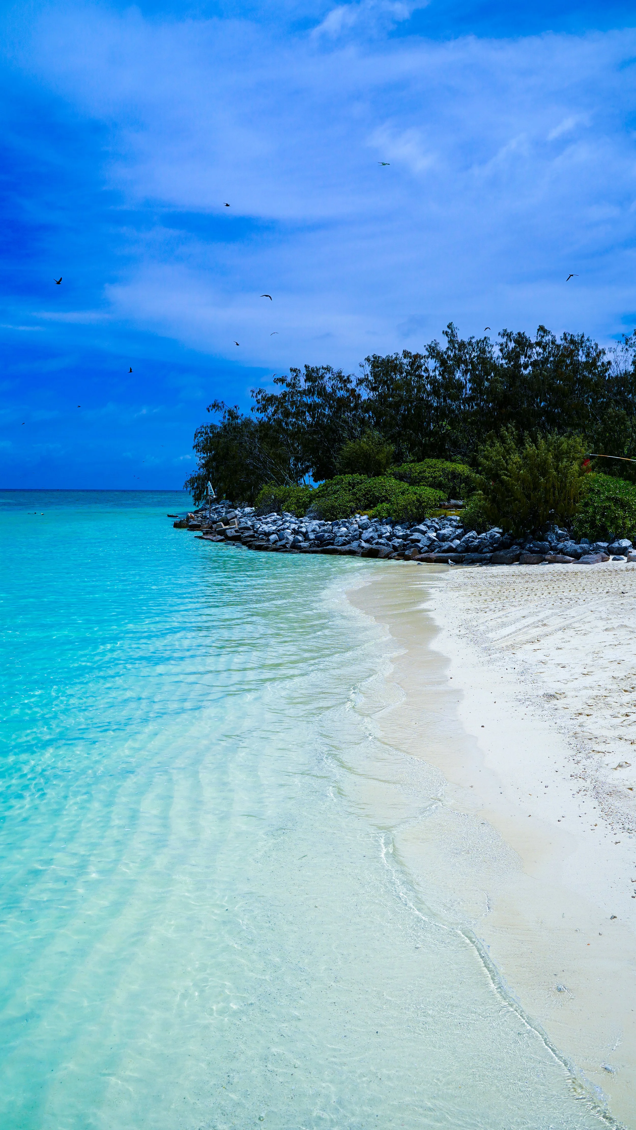 heron island australia blog podróżniczy.JPG