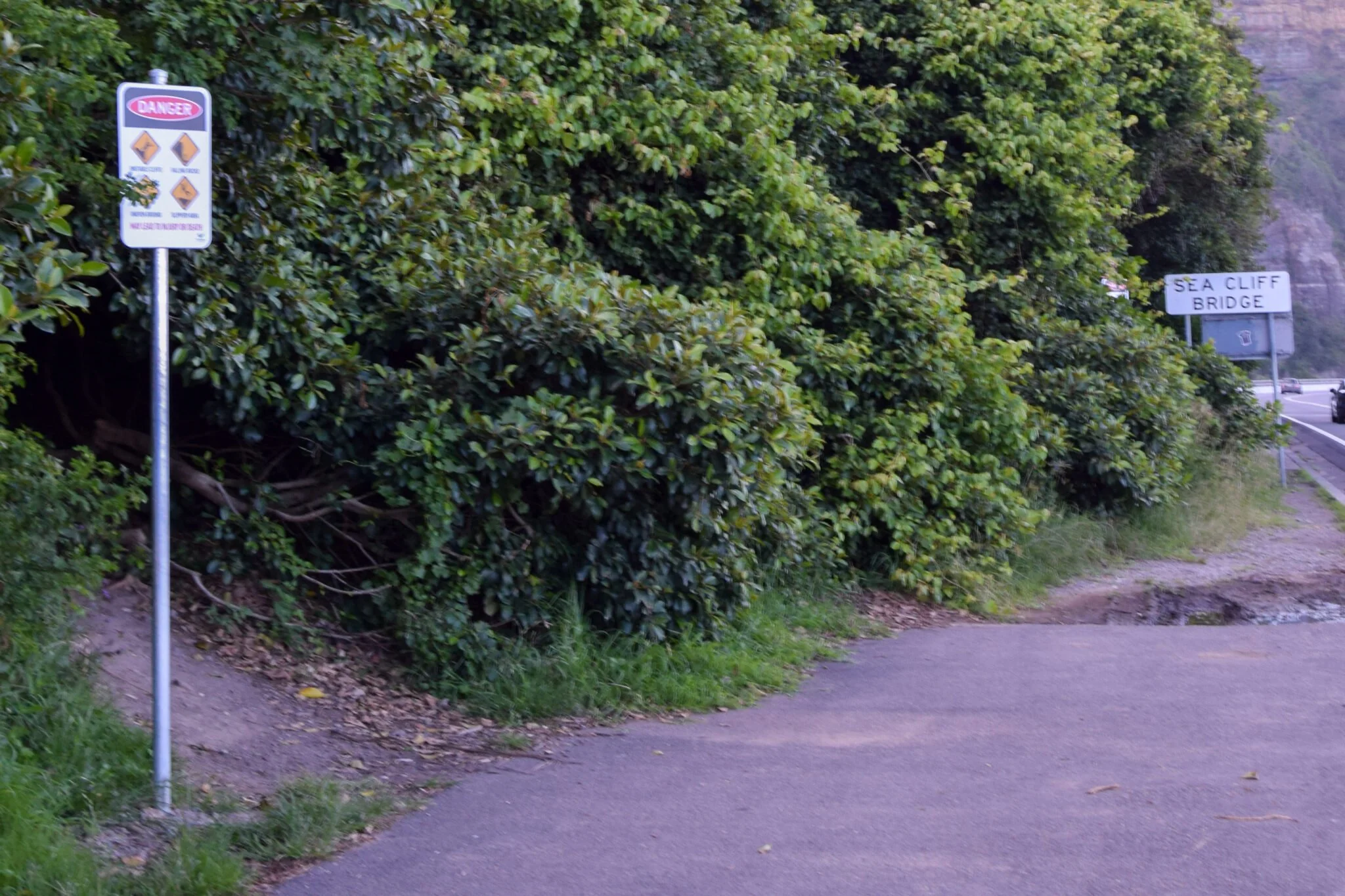 sea cliff bridge australia blog podróżniczy