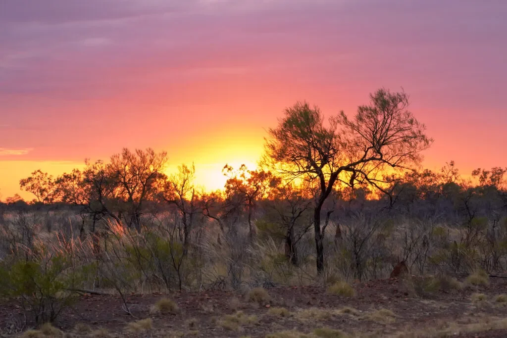 wschod-slonca-outback-australia.webp