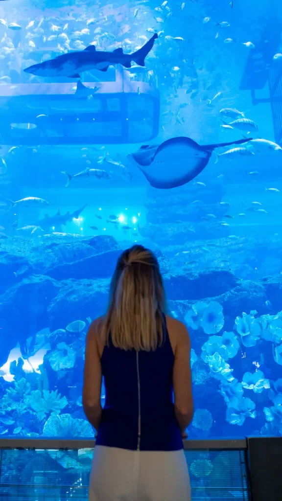 co-zobaczyc-w-dubaju-akwarium.webp