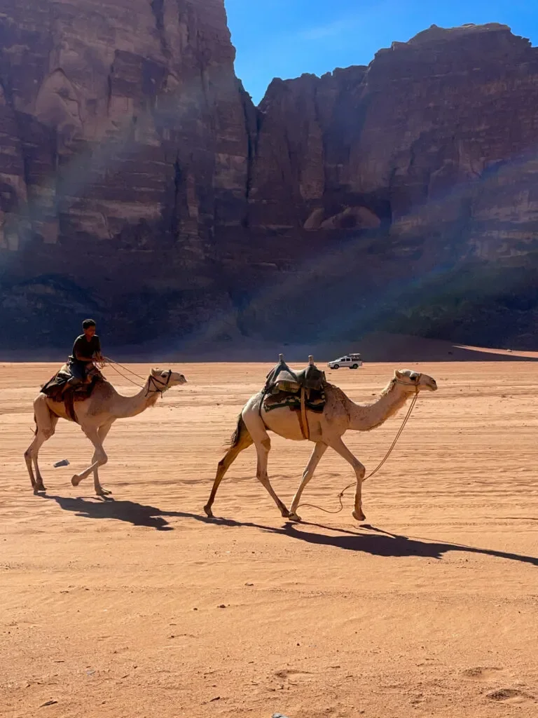 jordania-wadi-rum-wielblady.webp