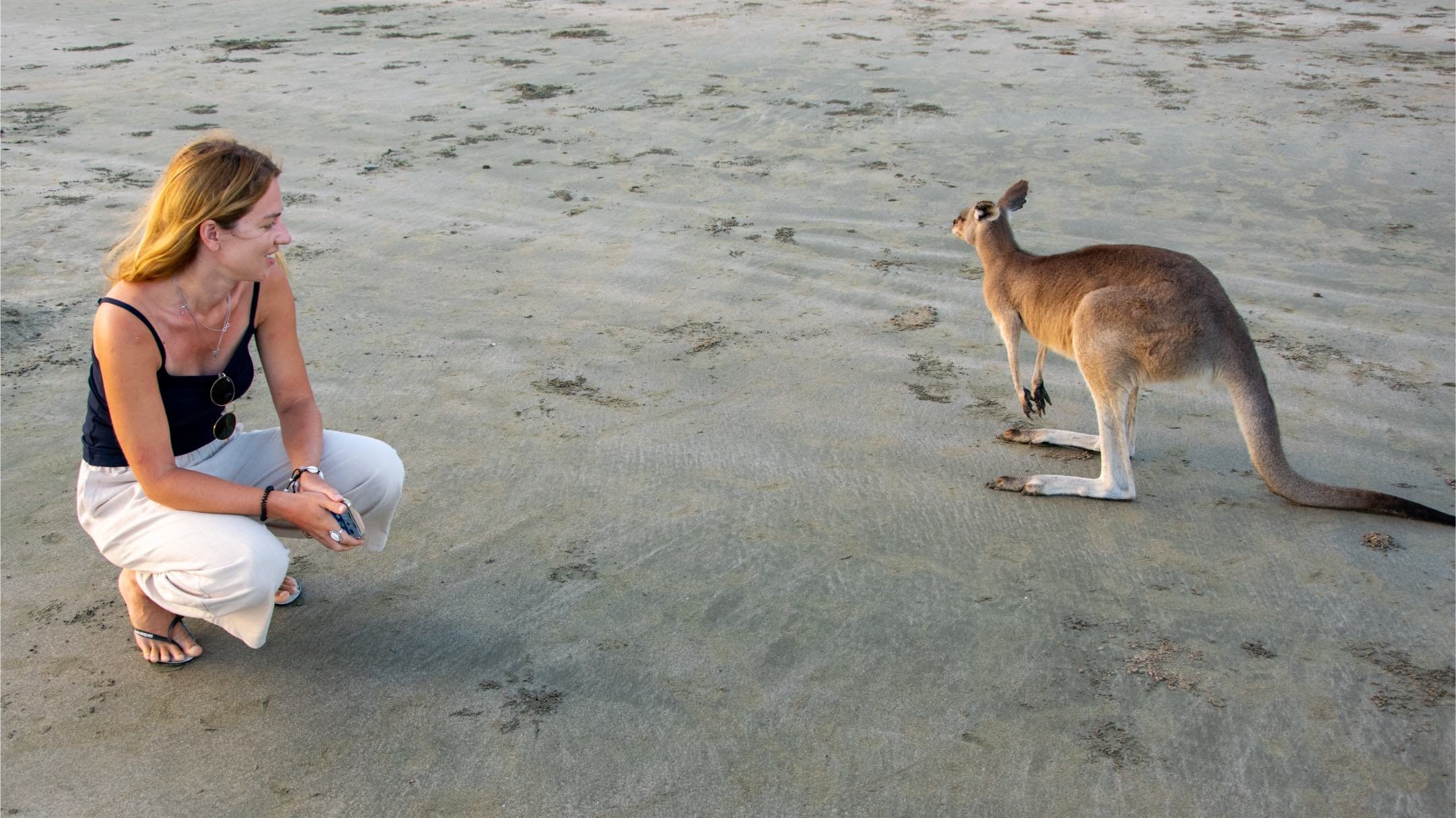 jak szukać noclegów w australii