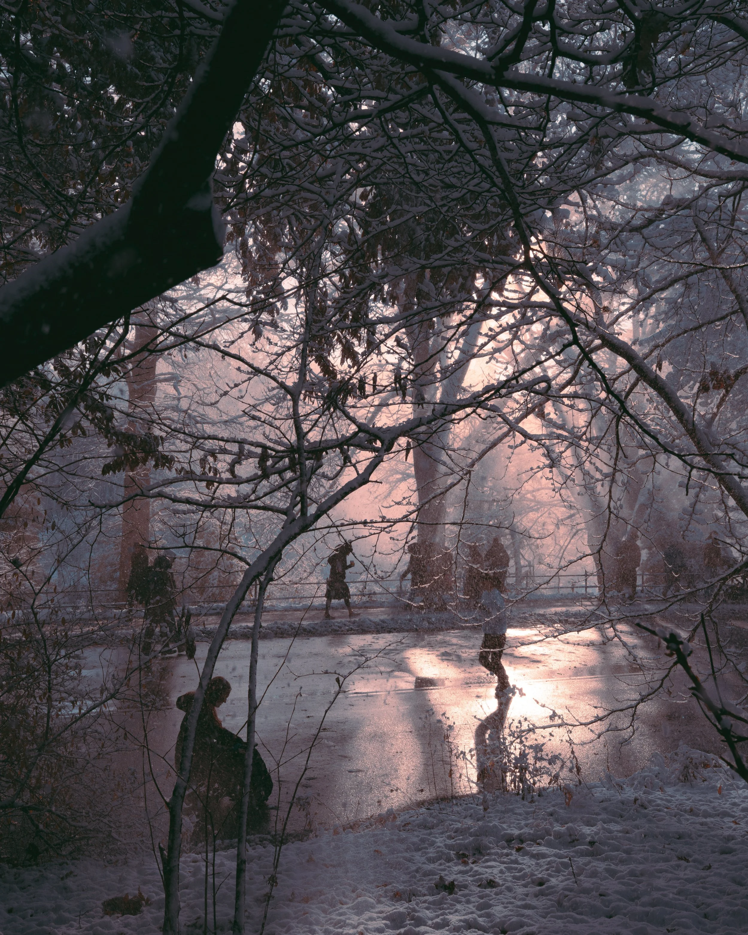winter in new york-3.jpg