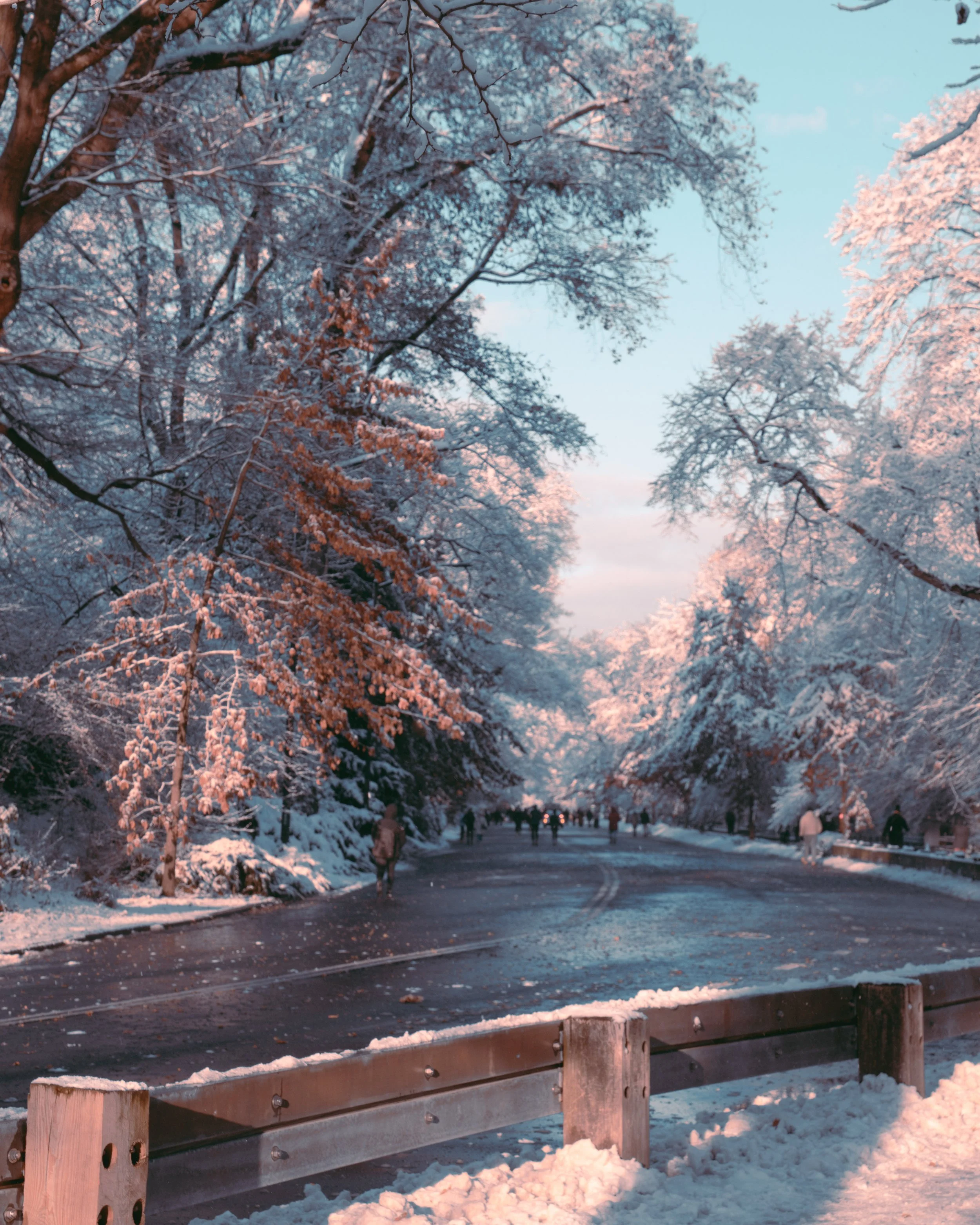 winter in new york.jpg
