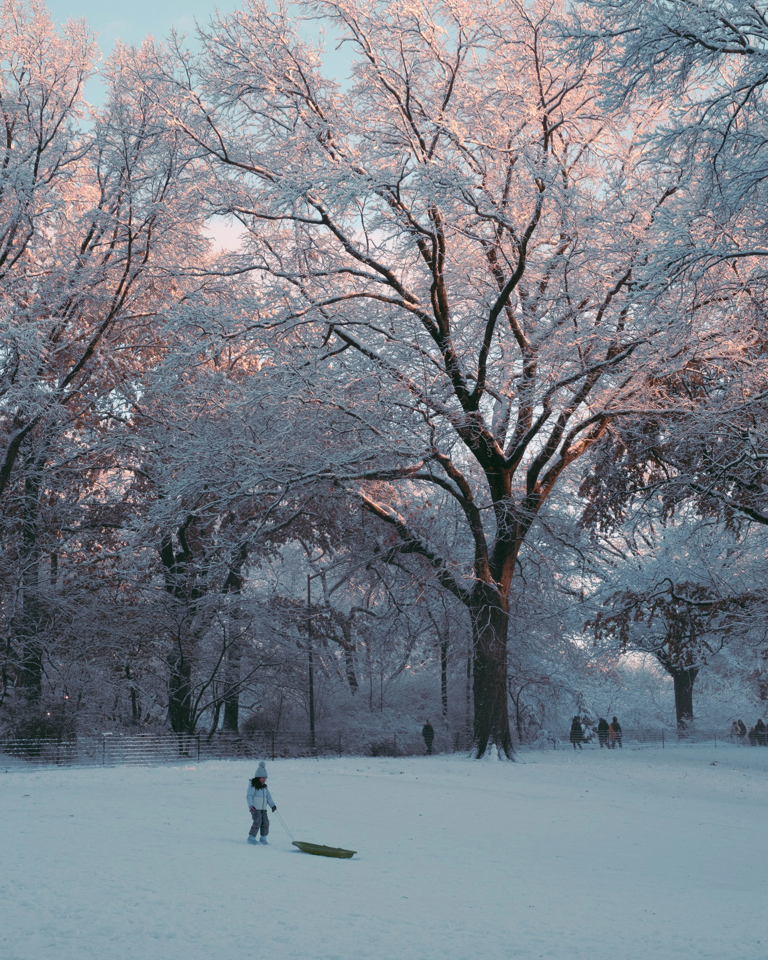winter in new york-10.jpg