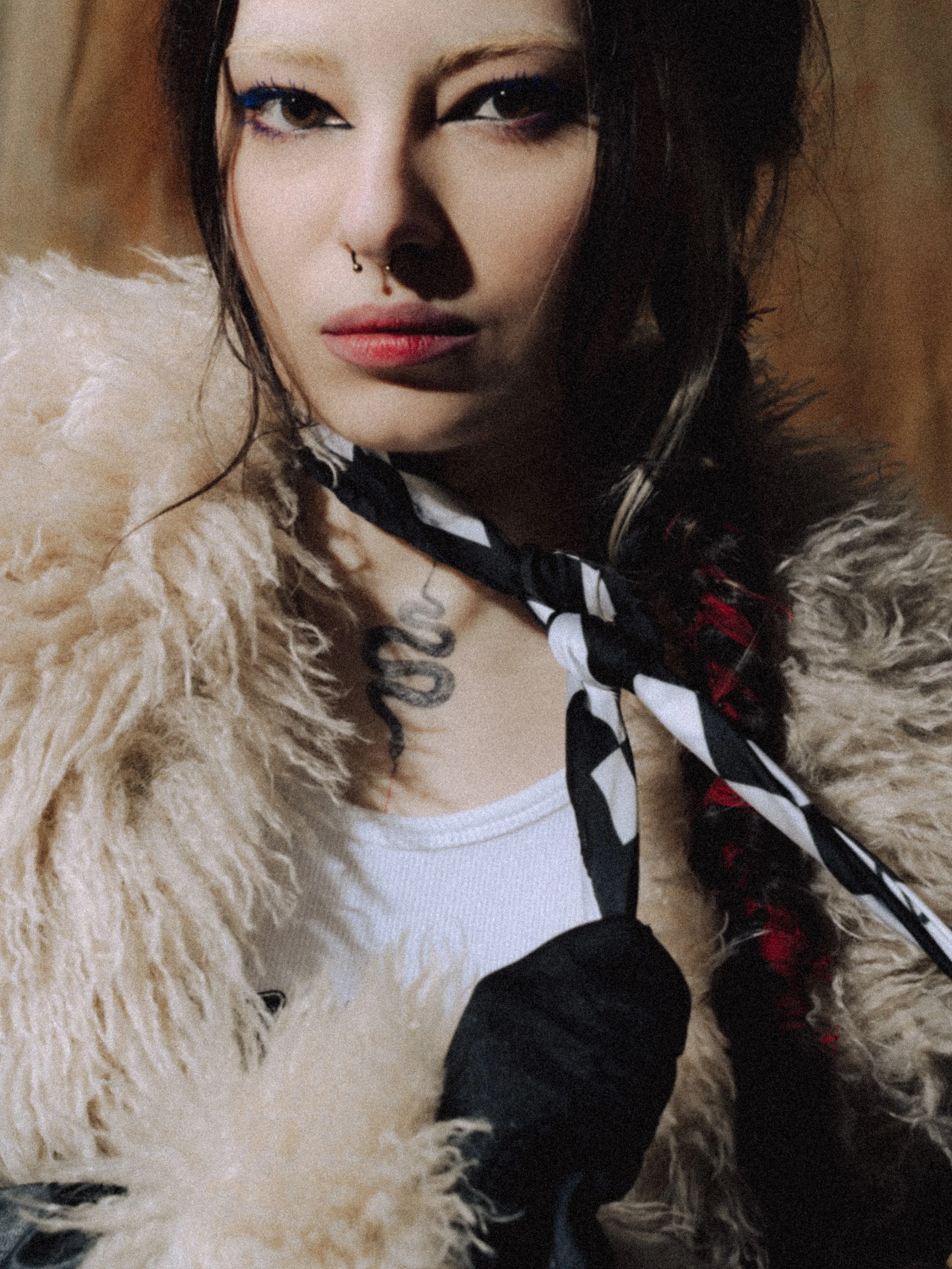website21-9.jpg