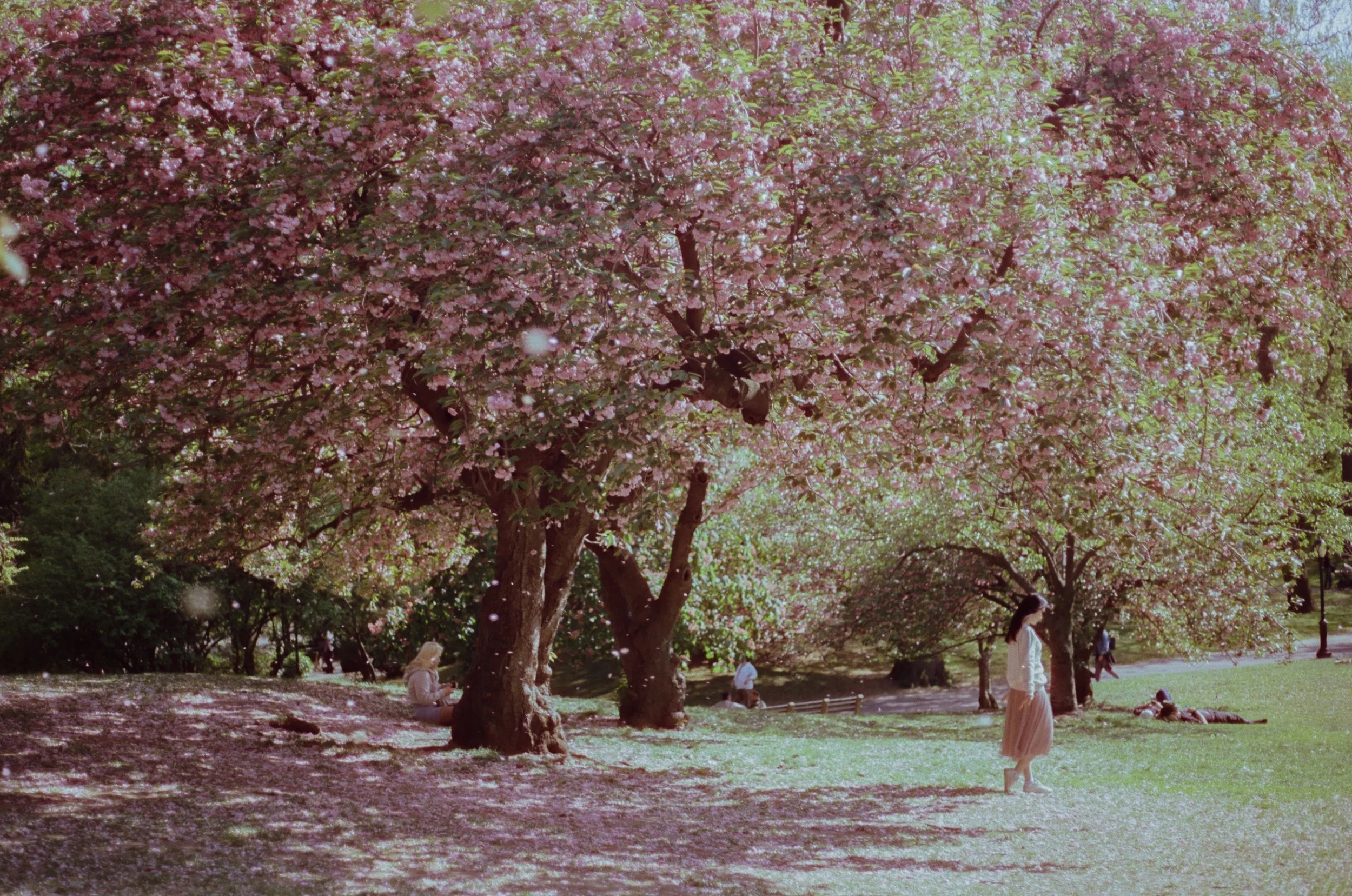 cinestill_50_c_41_34188_90308_199841_019717670005.jpg