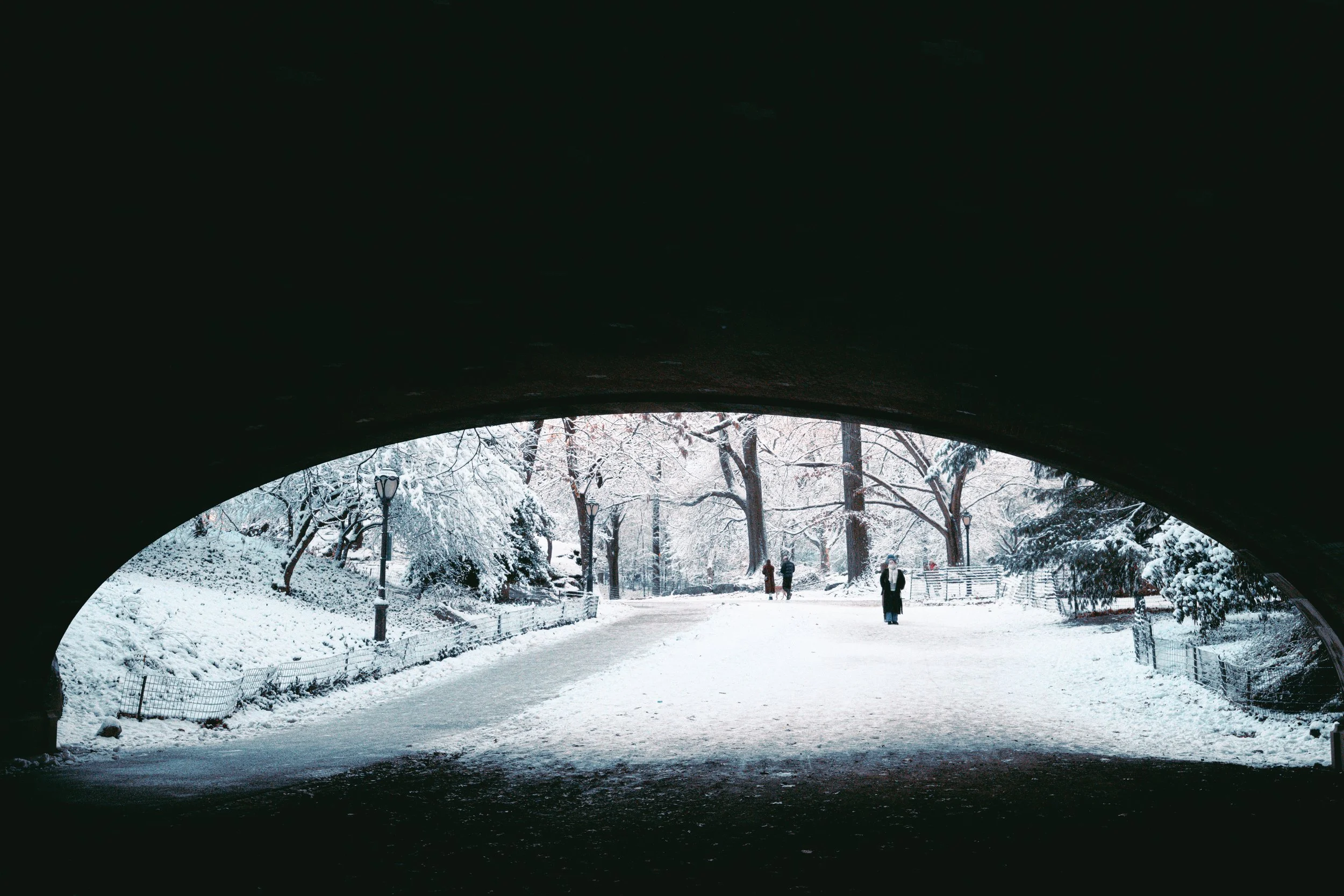 winter in new york-14.jpg