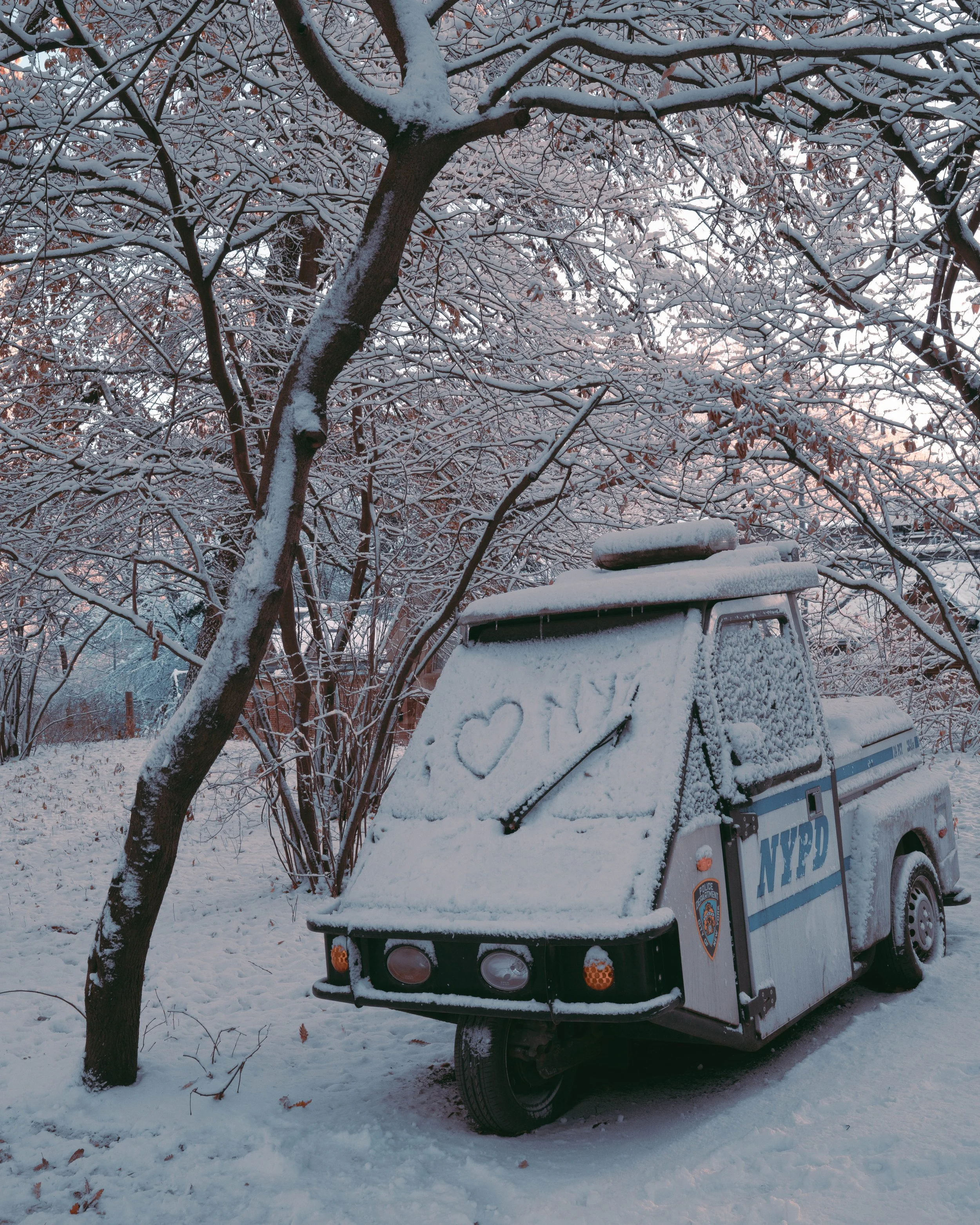 winter in new york-6.jpg