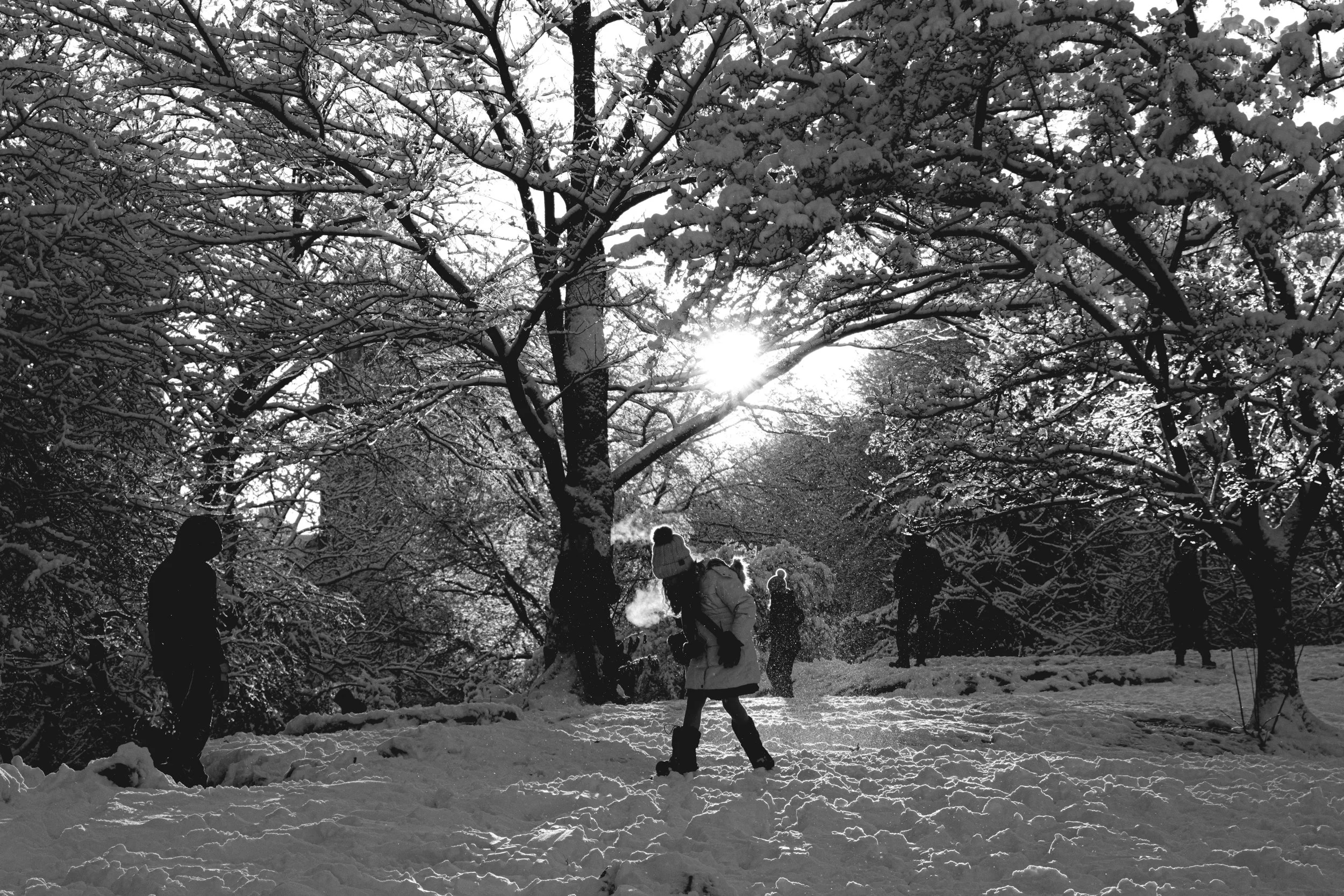 Winter in New York06293.jpg