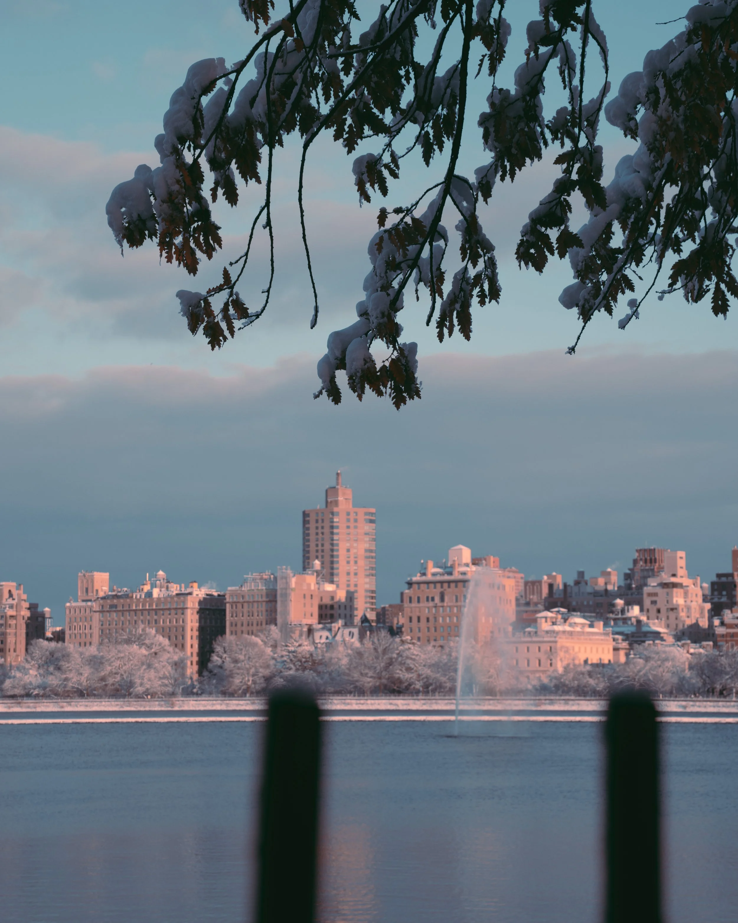 winter in new york-9.jpg
