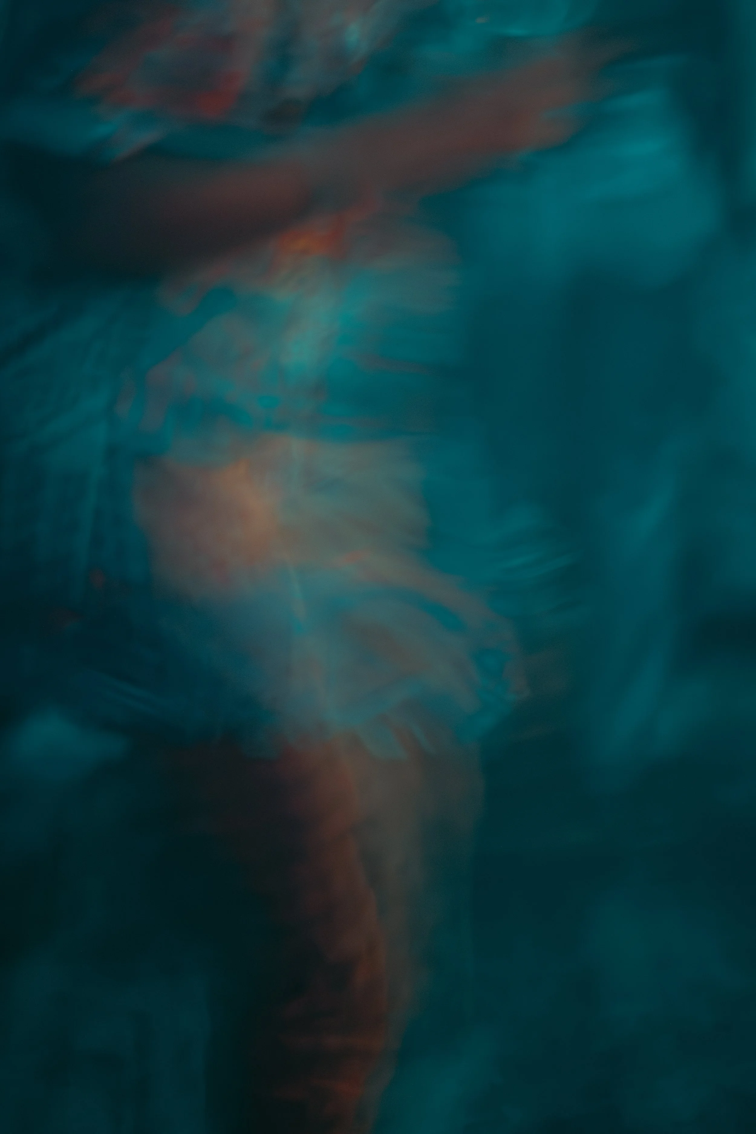 Holo Club4872.jpg