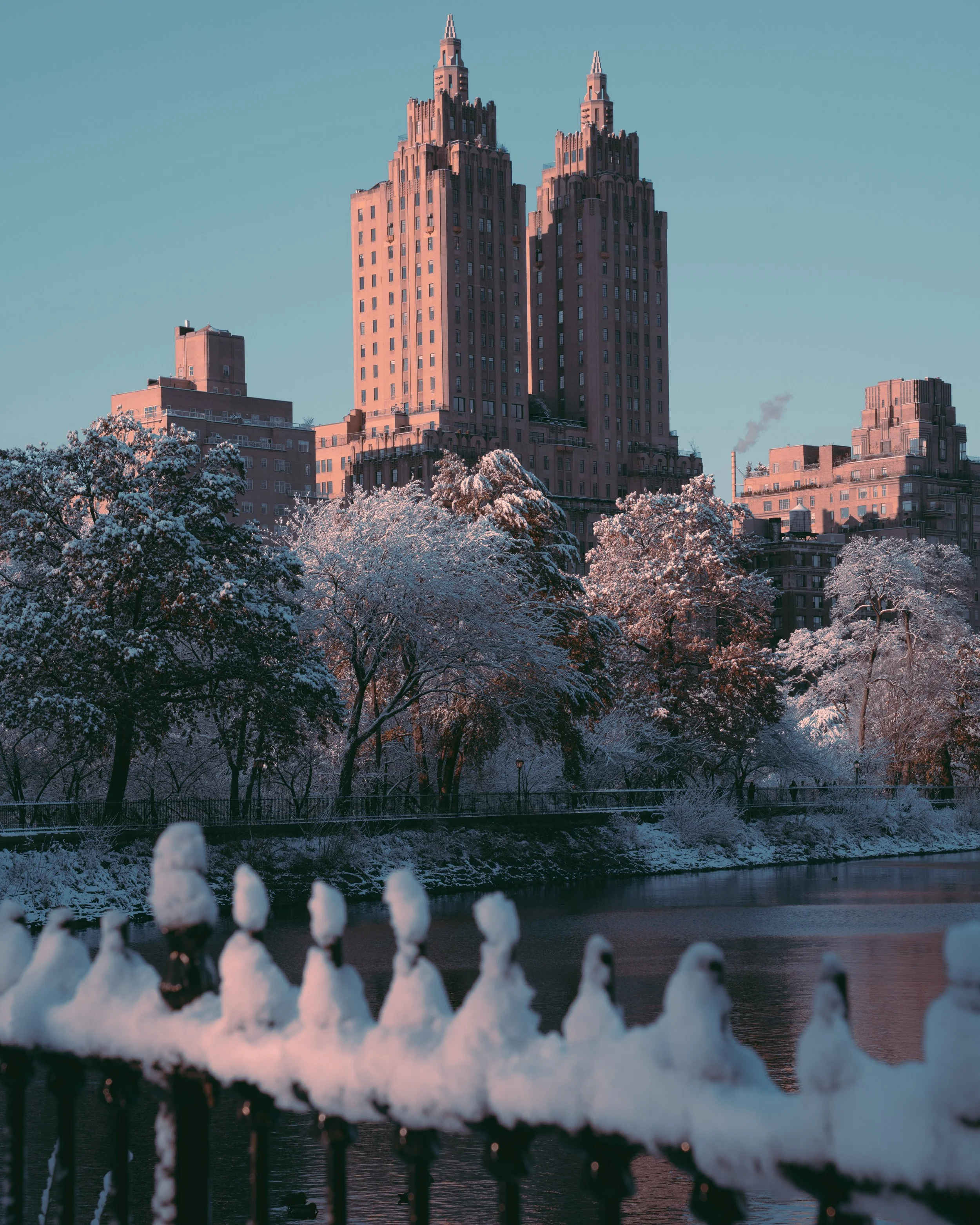 winter in new york-8.jpg