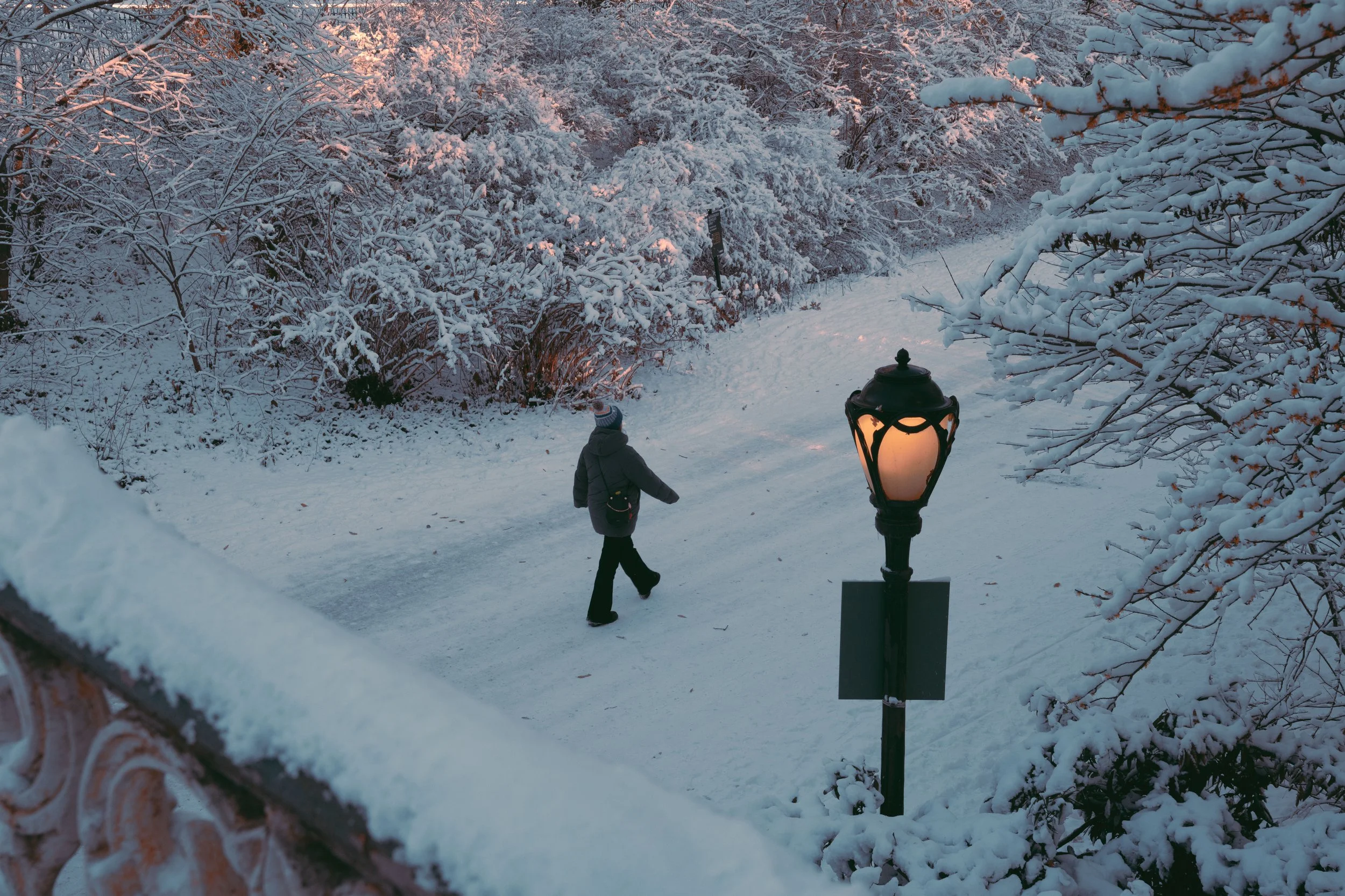 winter in new york-7.jpg