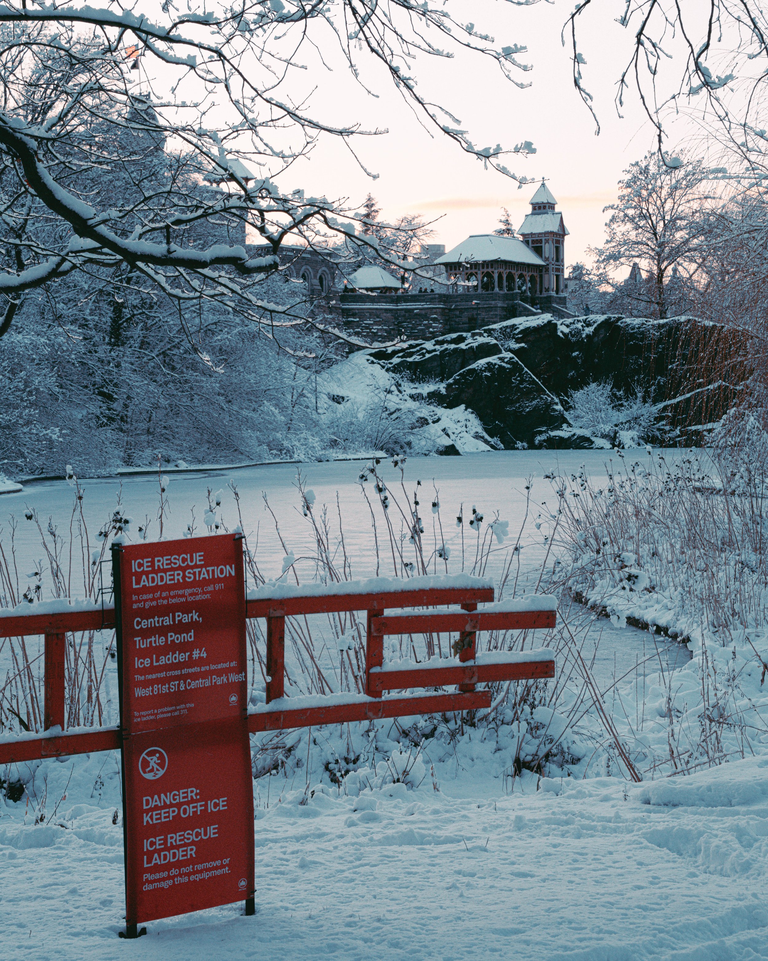 winter in new york-17.jpg