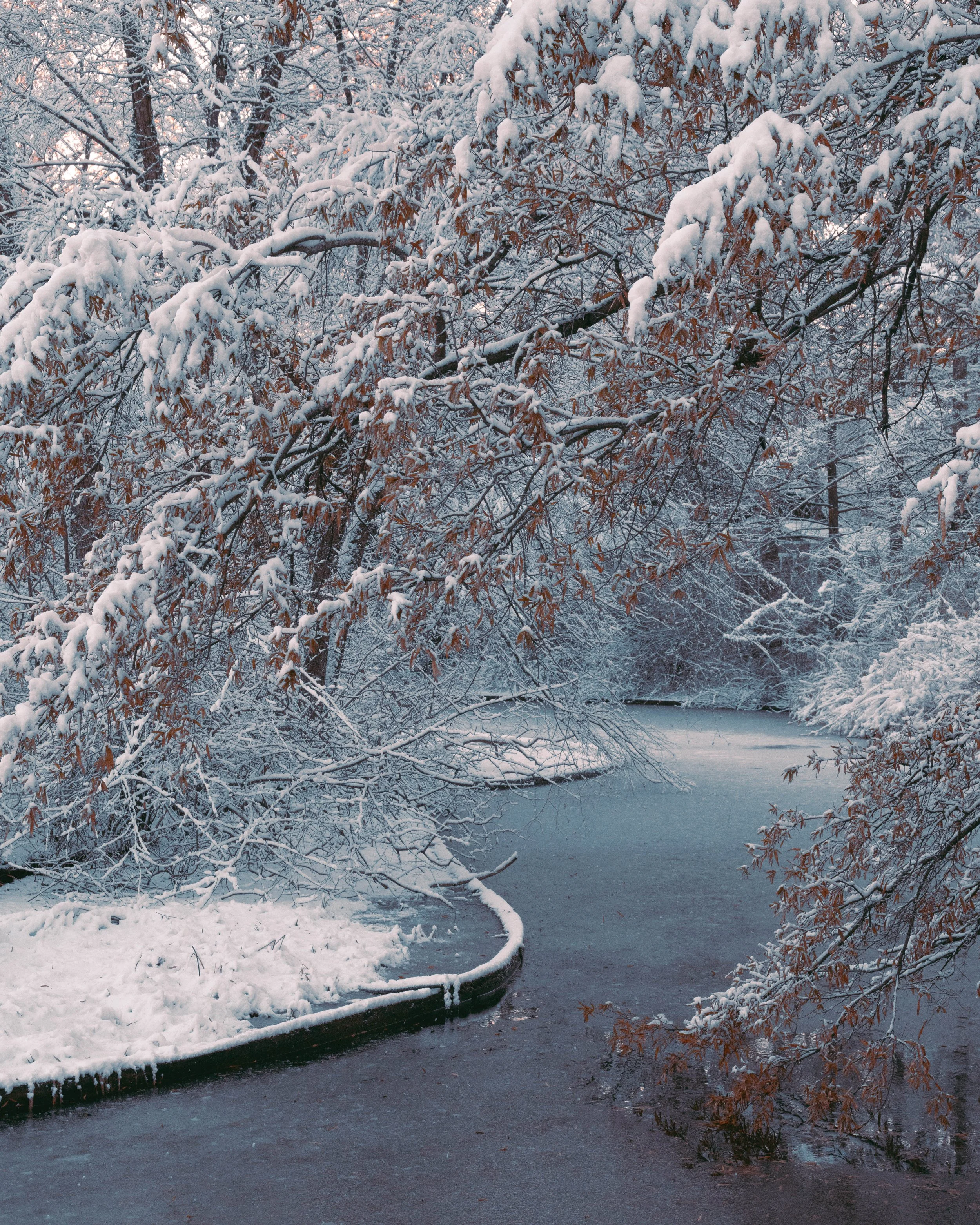 winter in new york-15.jpg