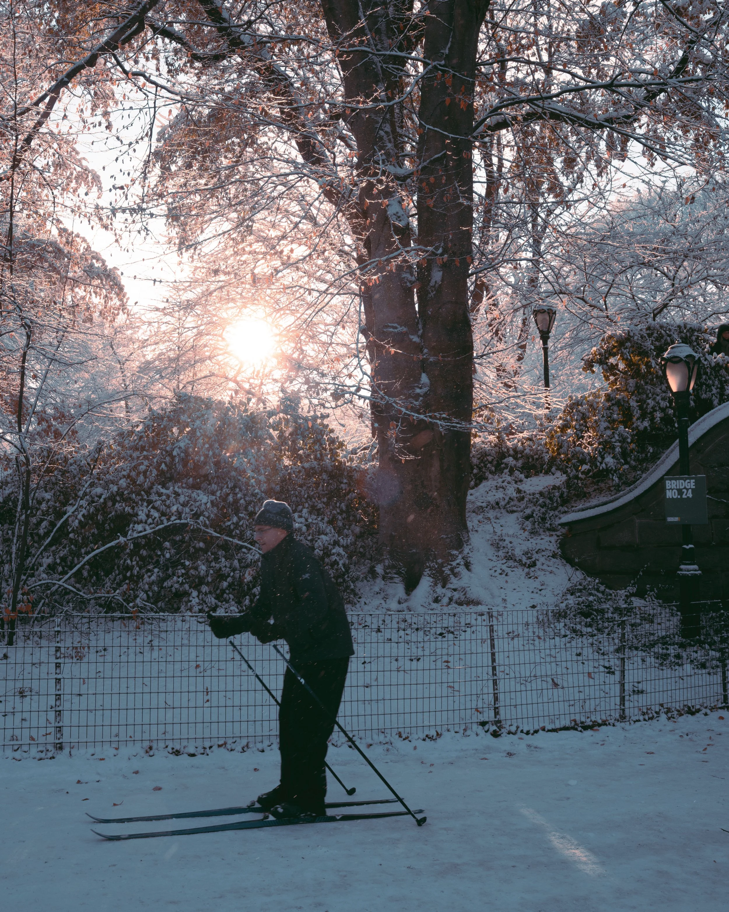 winter in new york-4.jpg
