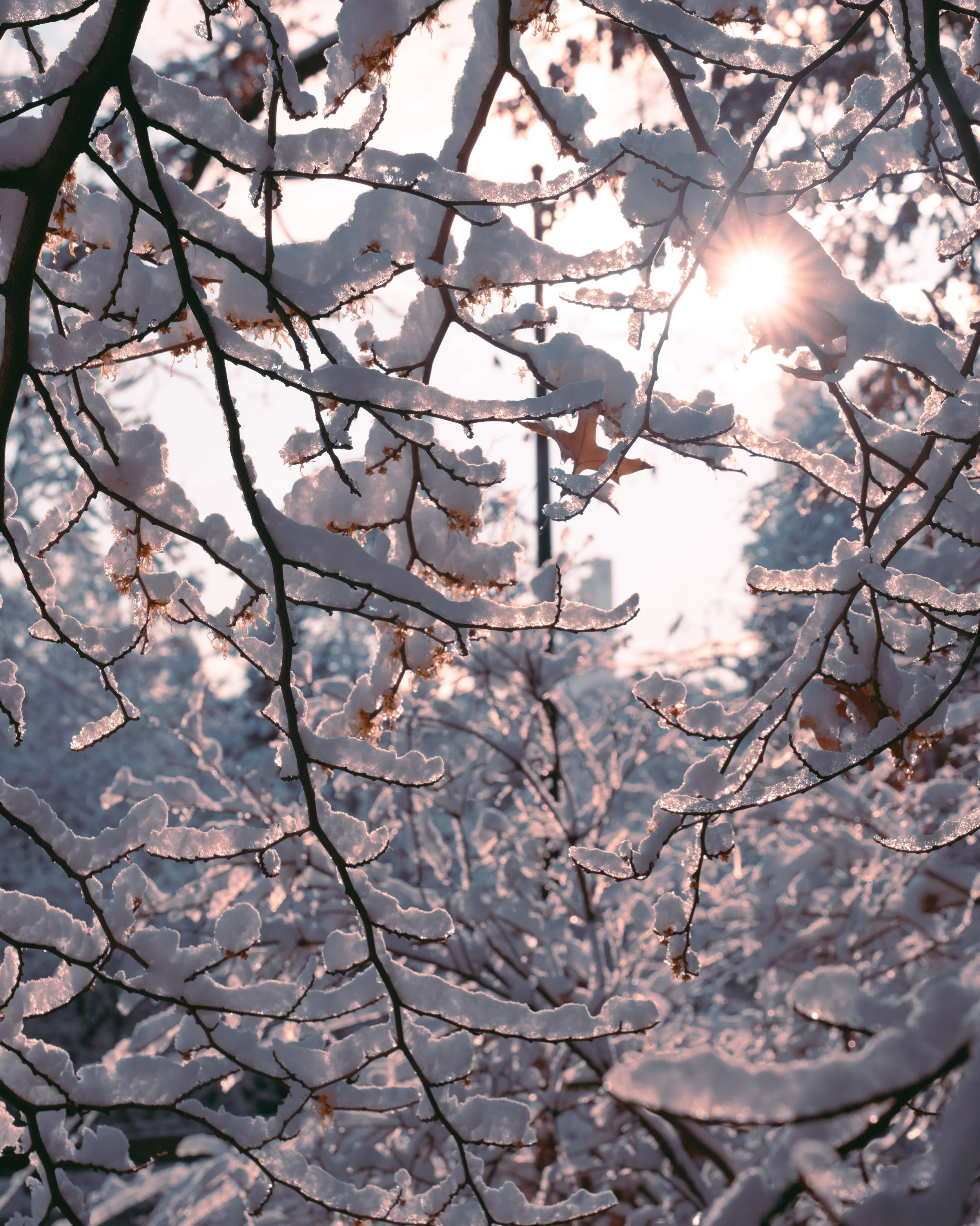 winter in new york-2.jpg