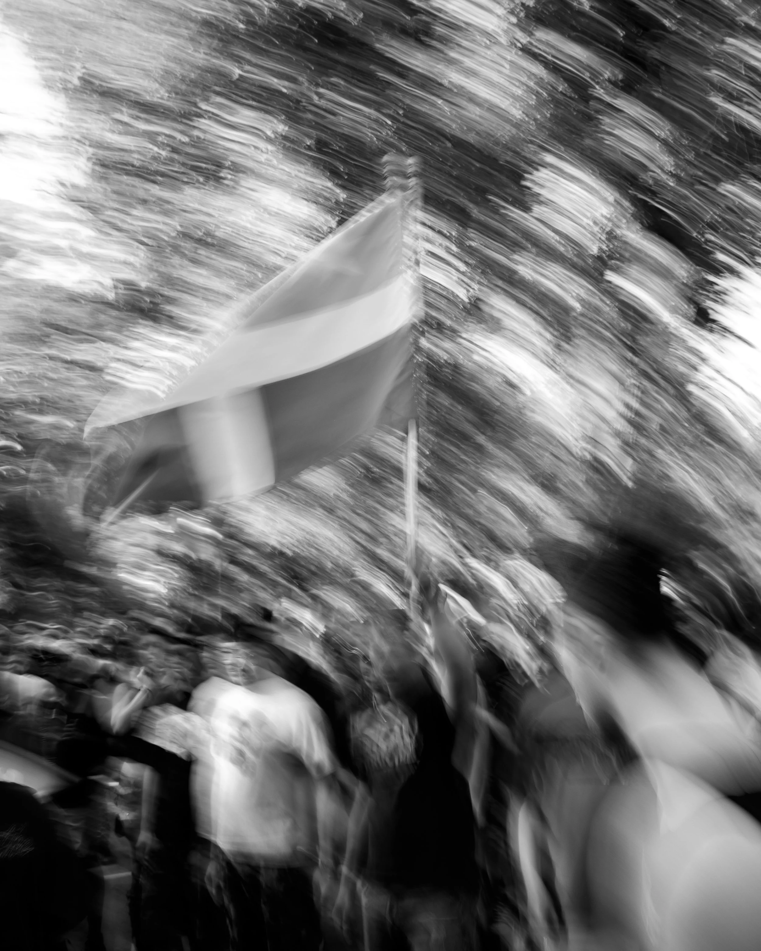 Punk Concert5365-2.jpg
