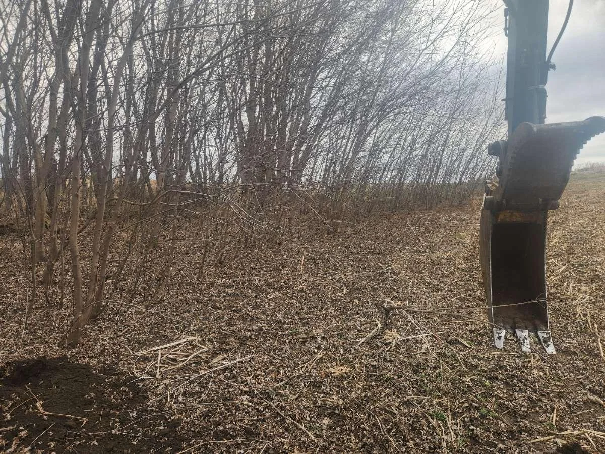 Construction site with a backhoe loader digging in a wooded area
