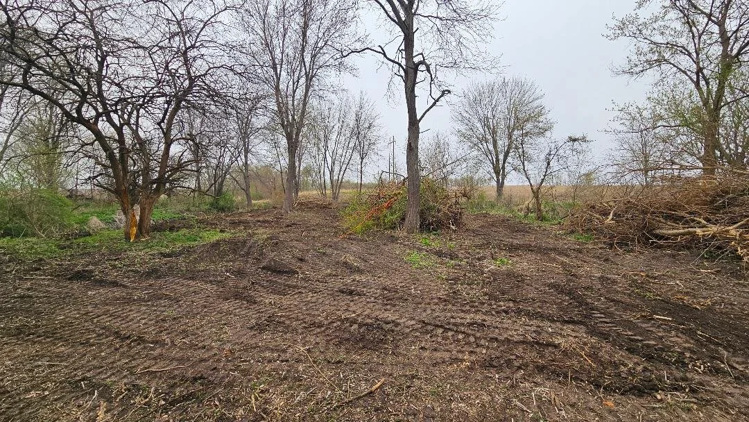 A cleared dirt area with tire tracks, surrounded by leafless trees.