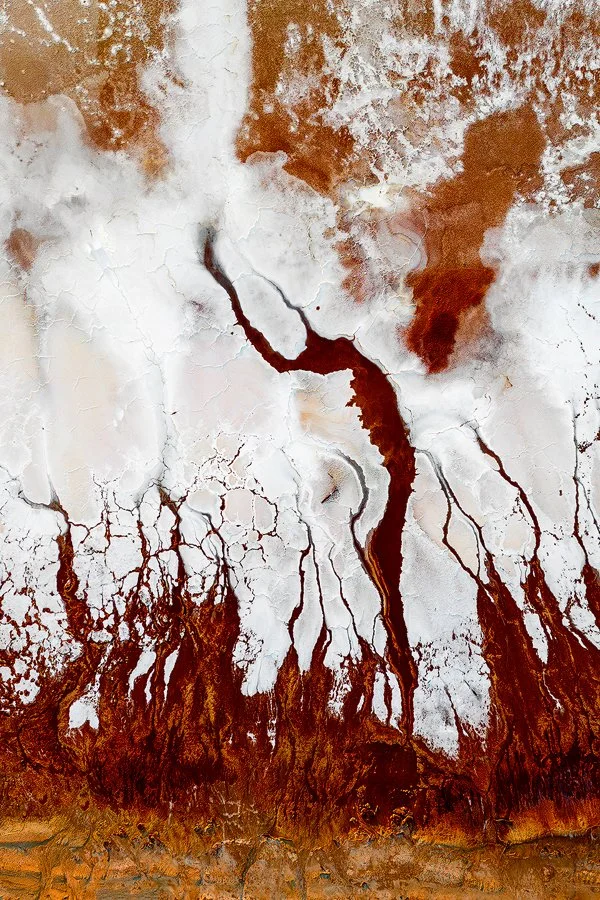 Dance of the Seahorse | Lake Tyrrell