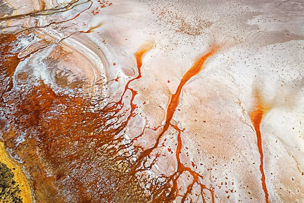 9. Salt of the Earth.jpg