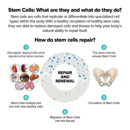 Stem Cell Nutrition – A Game Changer for Health & Healing