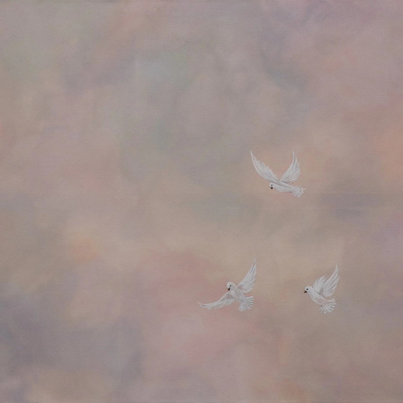 Light Without Direction