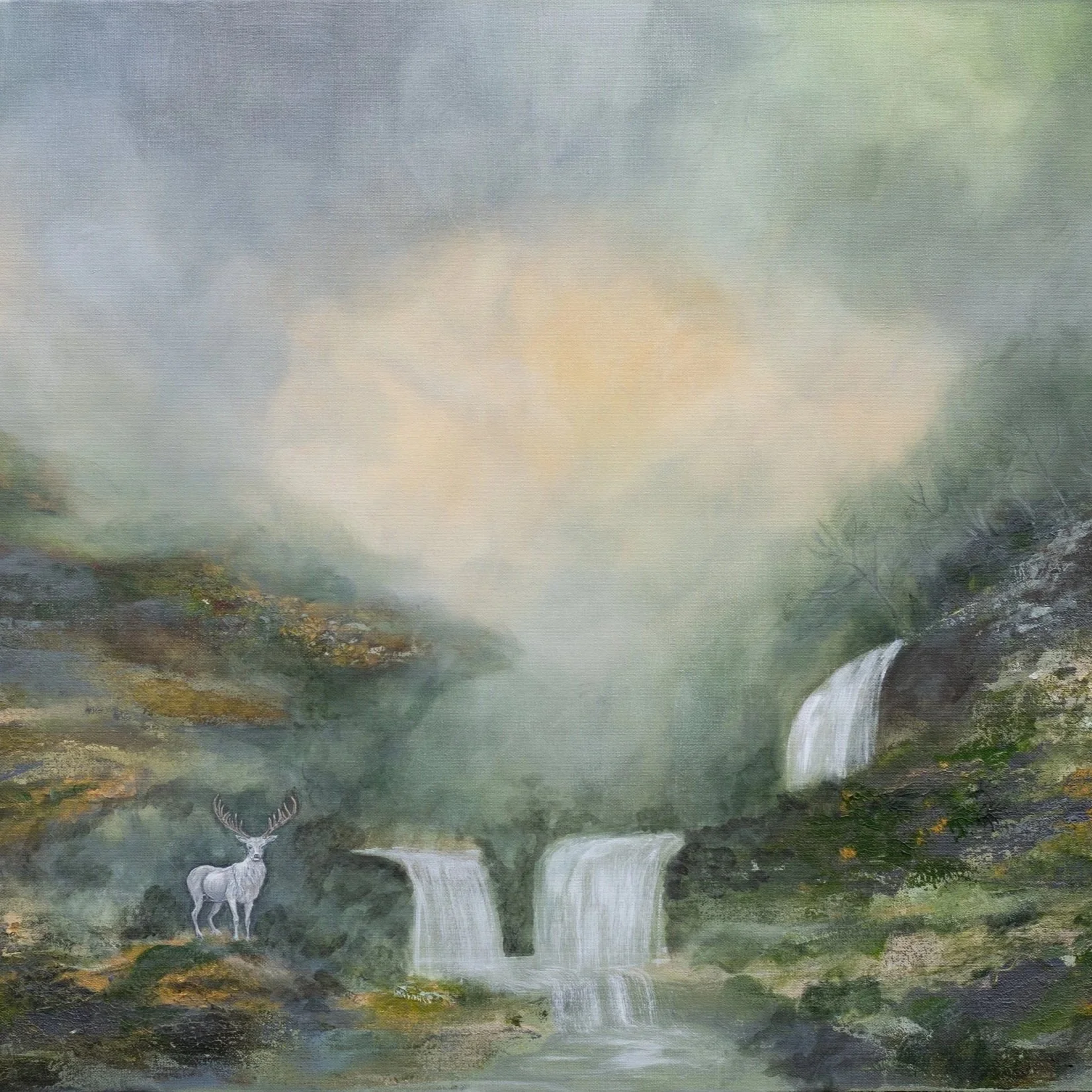 Watching the Water Move