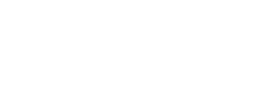 SPRING STREET EXCHANGE